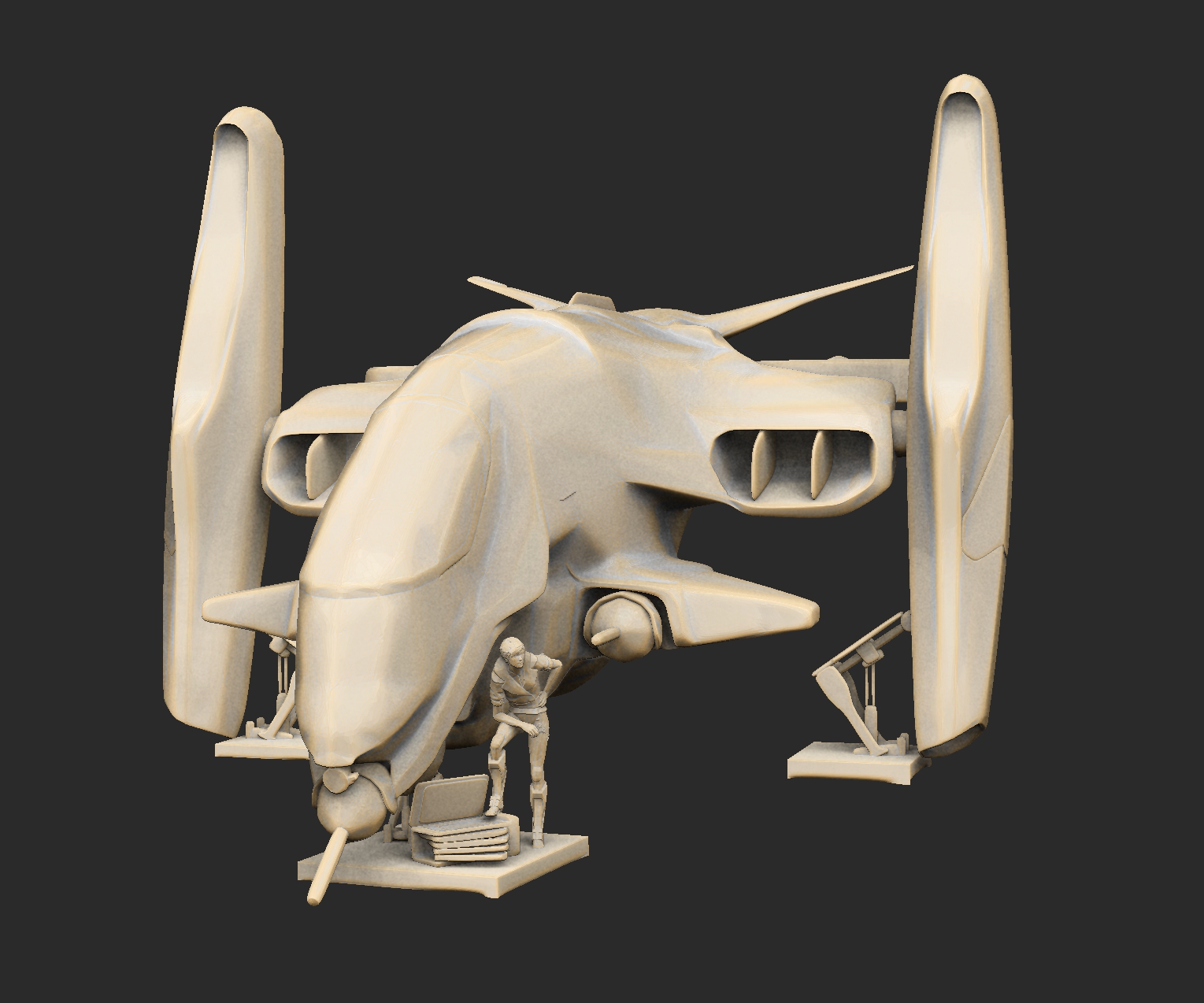 Olga With Gunship
