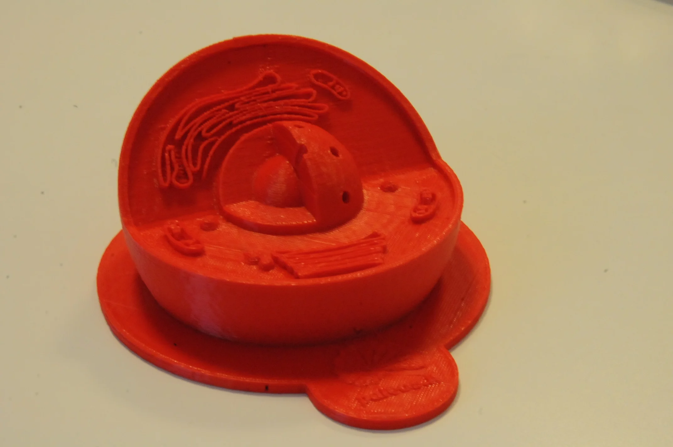 Animal Cell