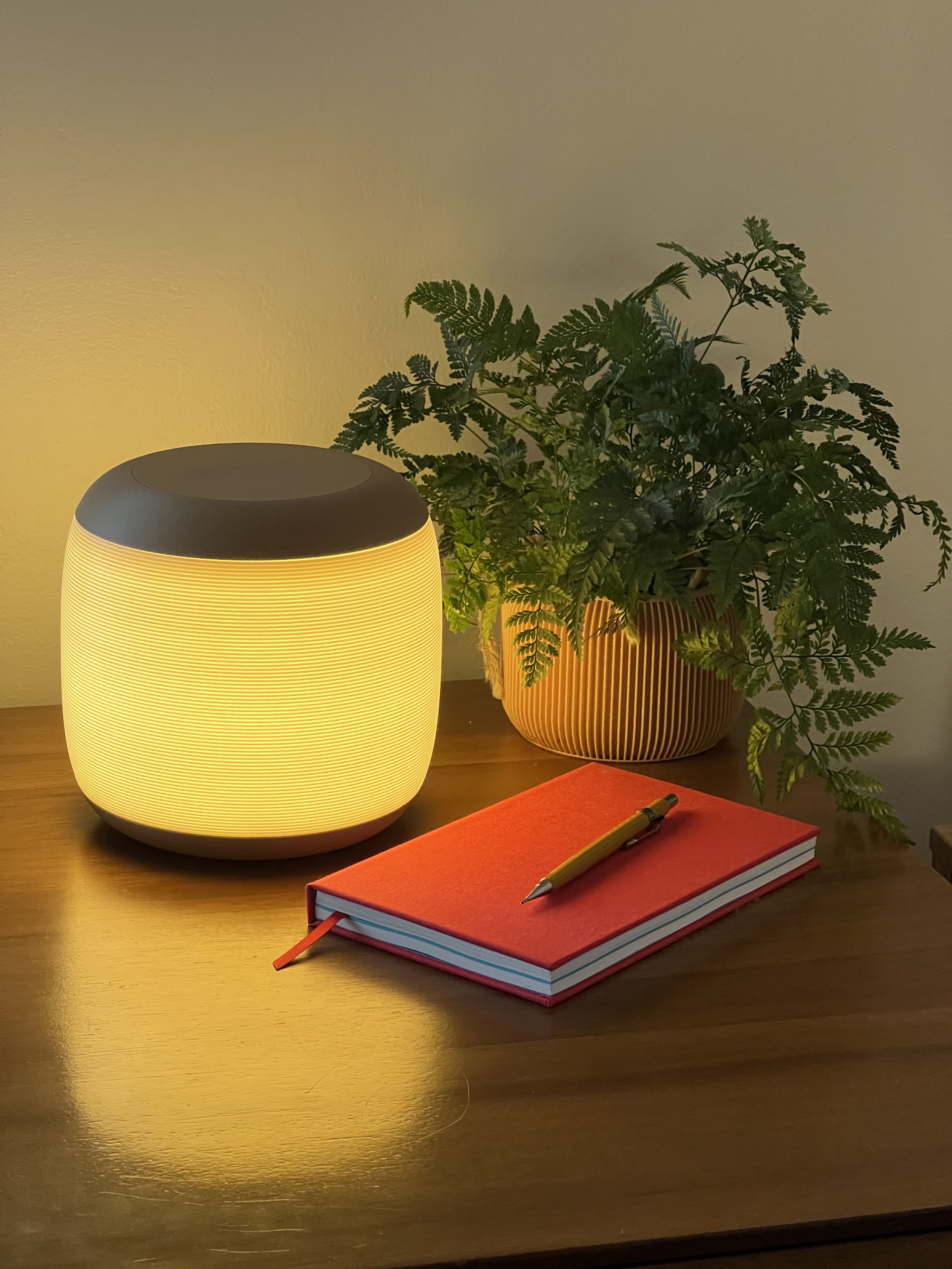 Squashed Lamp