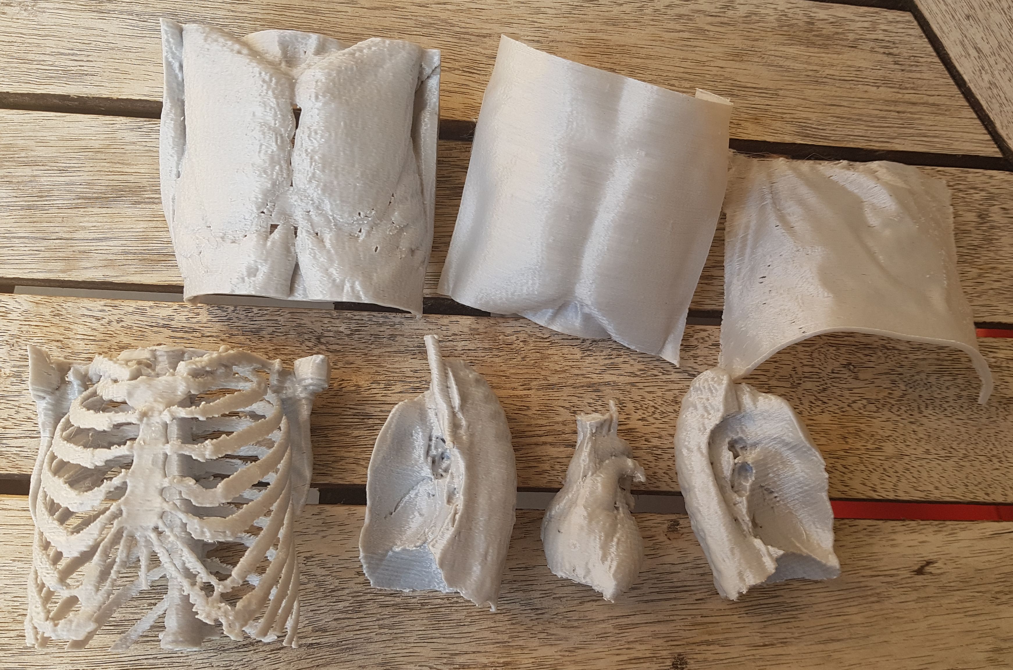 Chest organs "puzzle"
