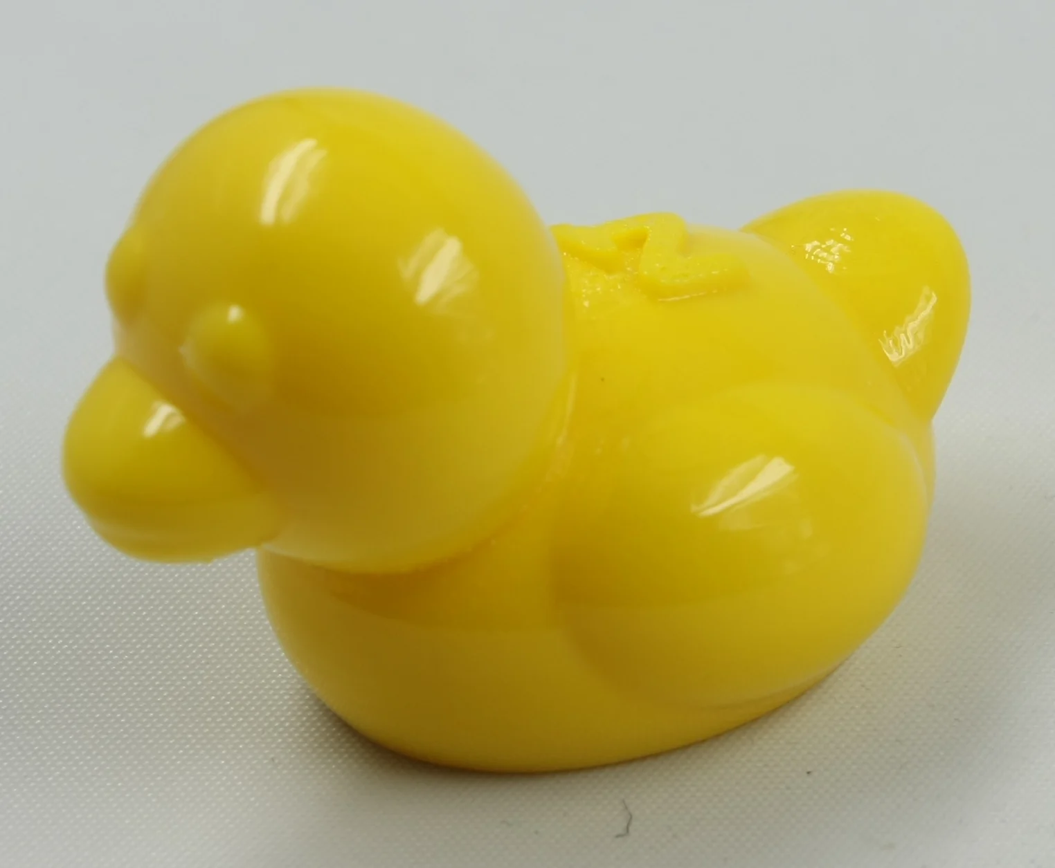 Duck (NT Animals)