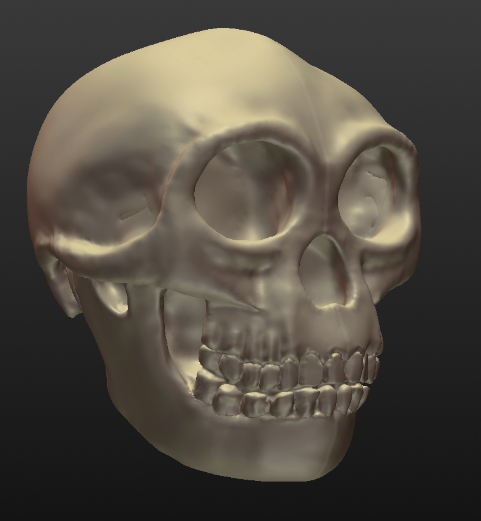 Flora the Hobbit (Homo floresiensis)