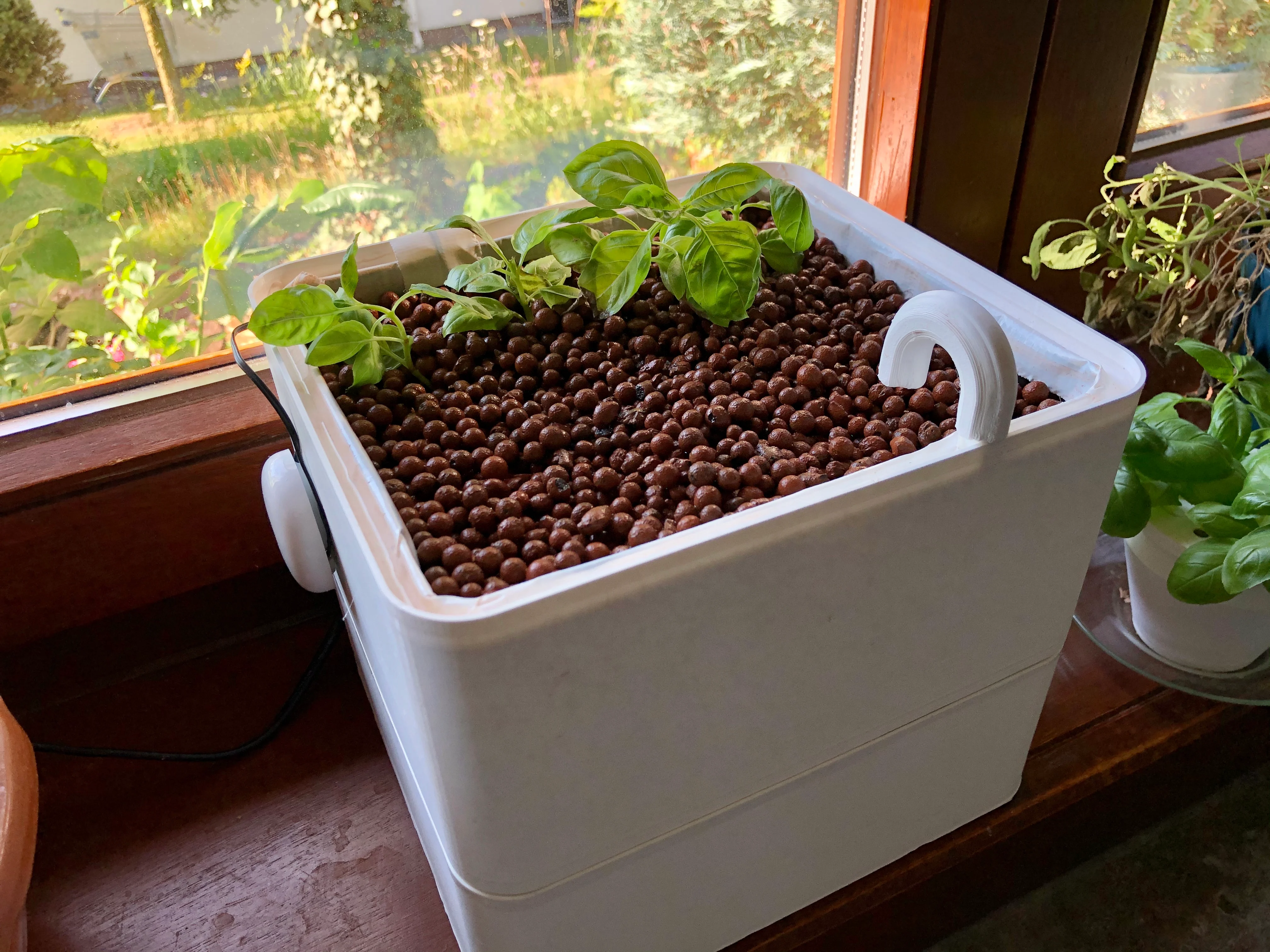 Hydroponic Flooding Box