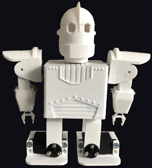 Micro-Humanoid Robot