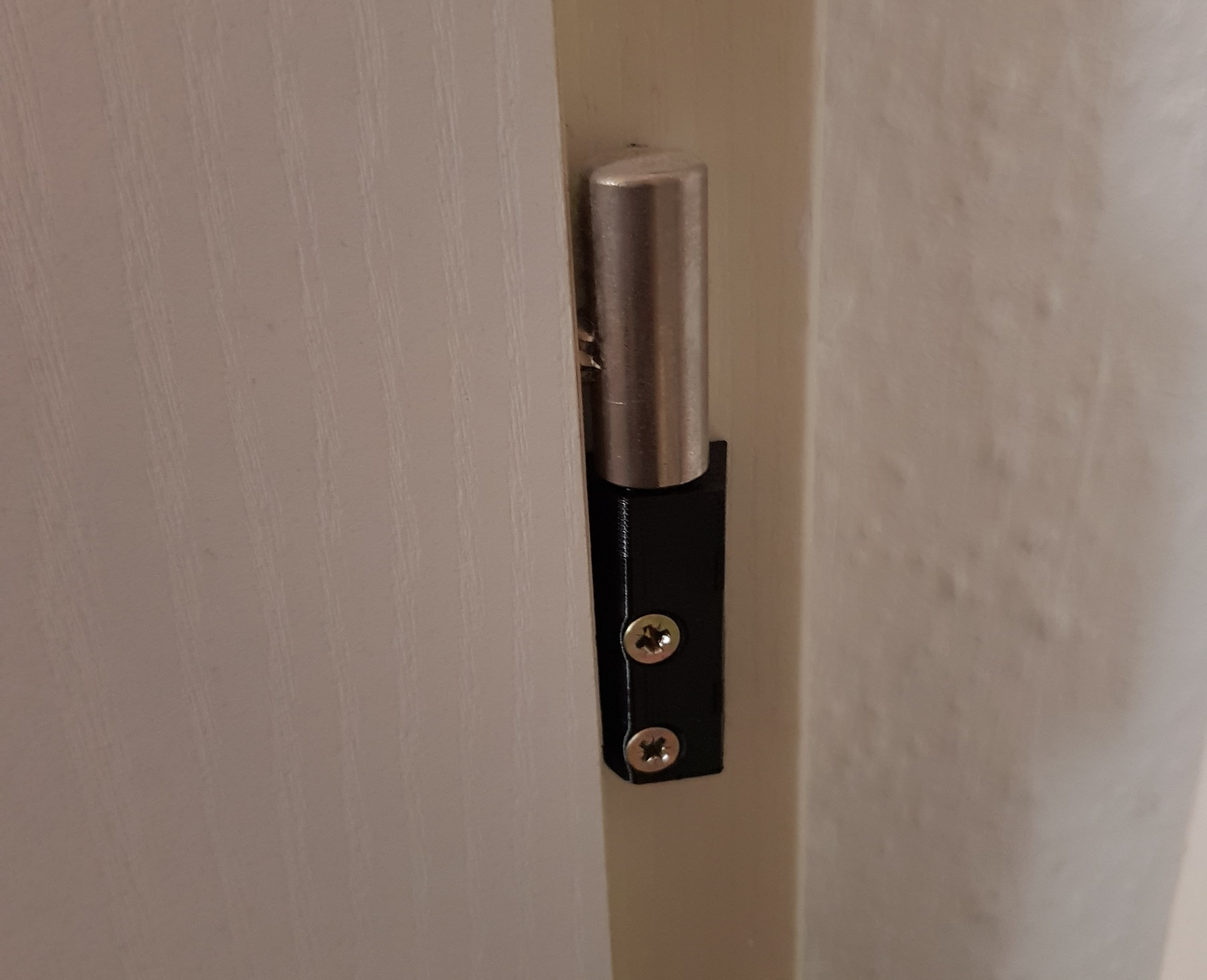 Türschanier