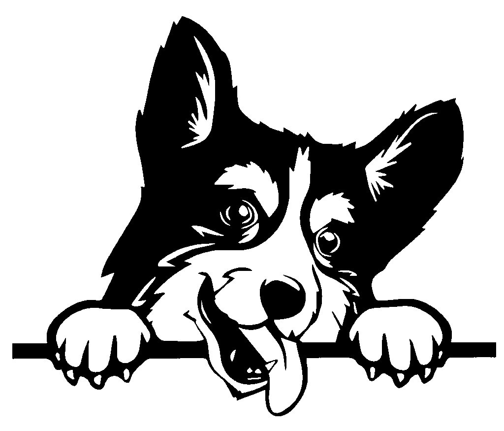 2D Border Collie dog