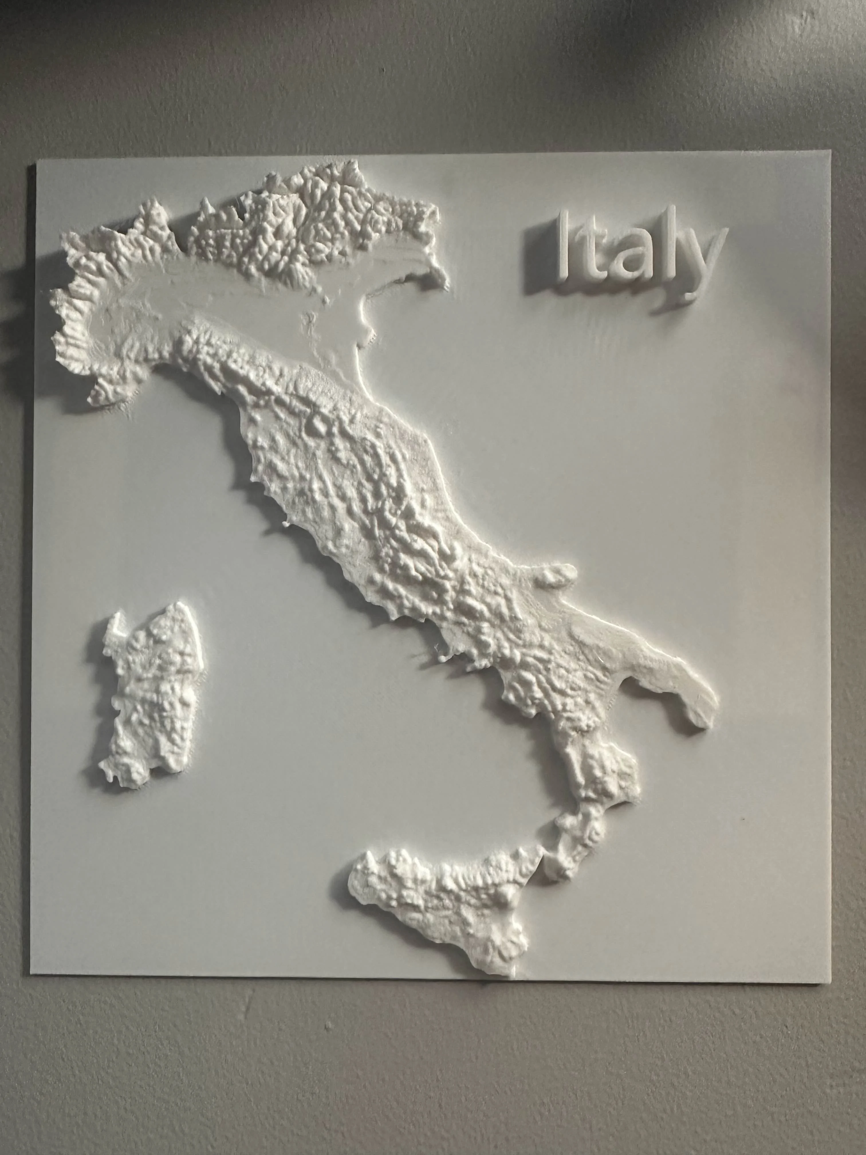 Italy Topographic Map