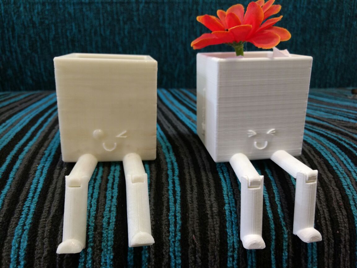 Kawaii Flower pot