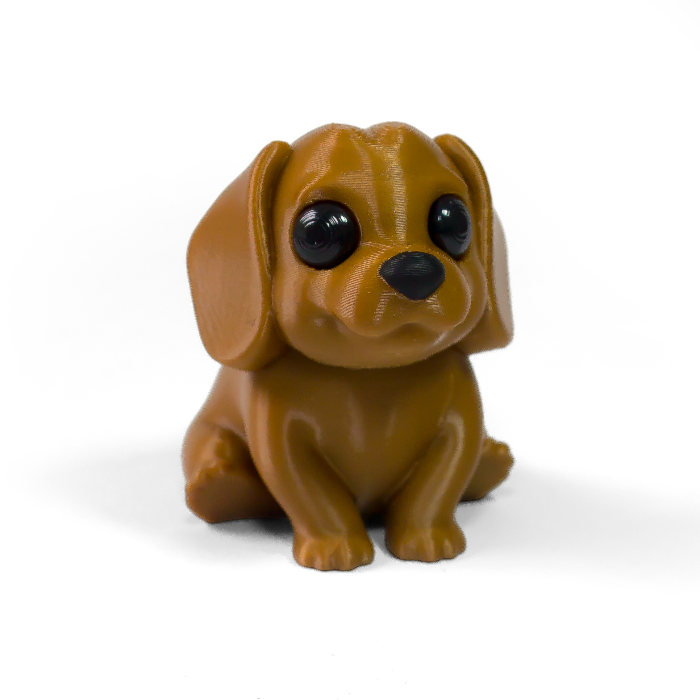 Dachshund Pup