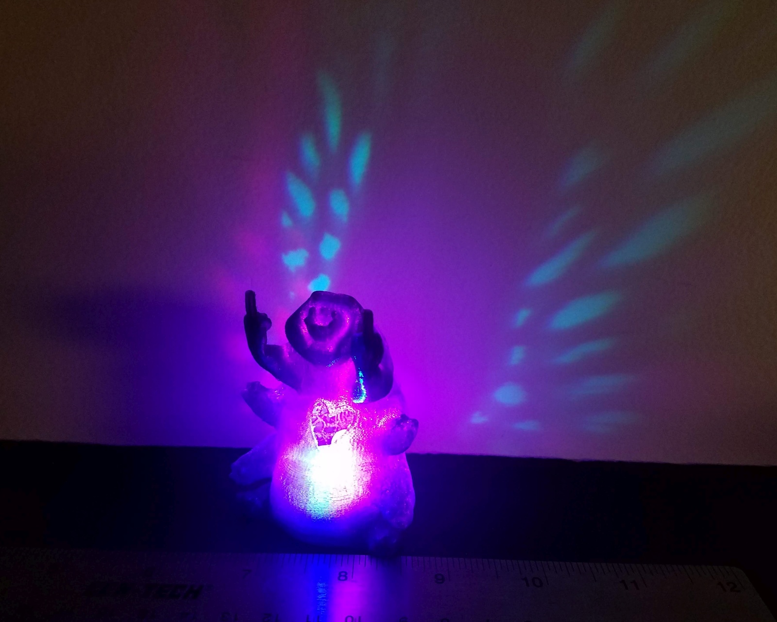 Rude & Not Rude Waterbear Tardigrades