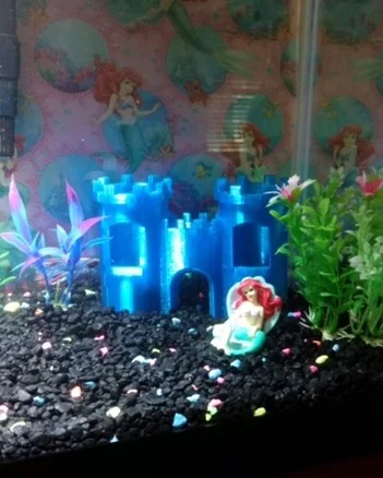 Aquarium Castle
