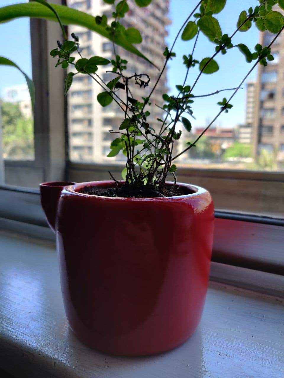 Plantero - Self-Watering planter