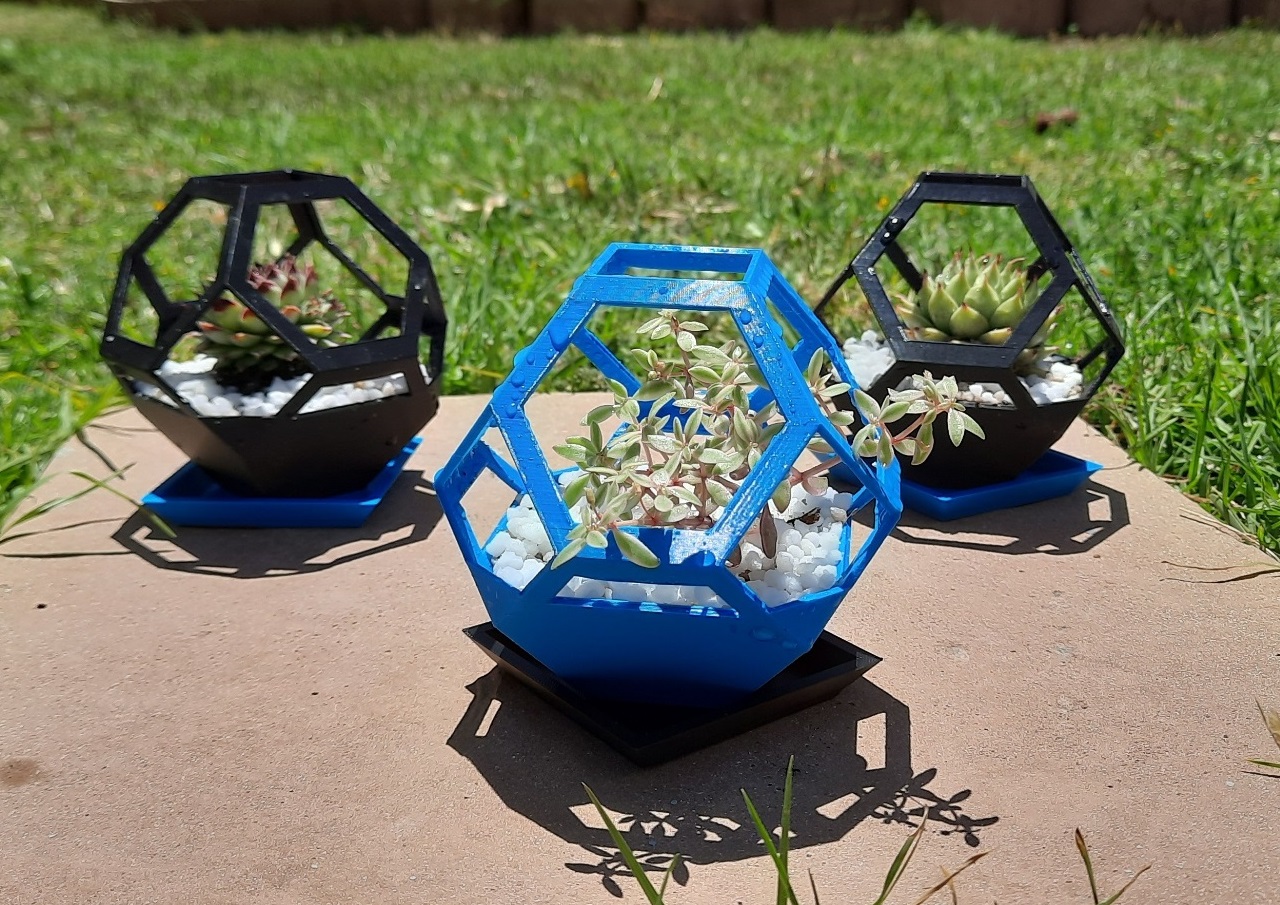 Hex Pot Plant