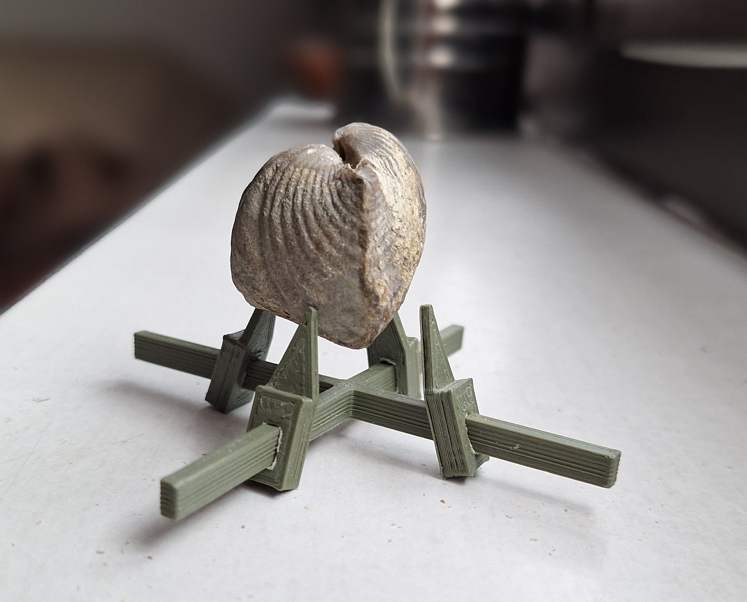 Adjustable object holder for photographing small fossils