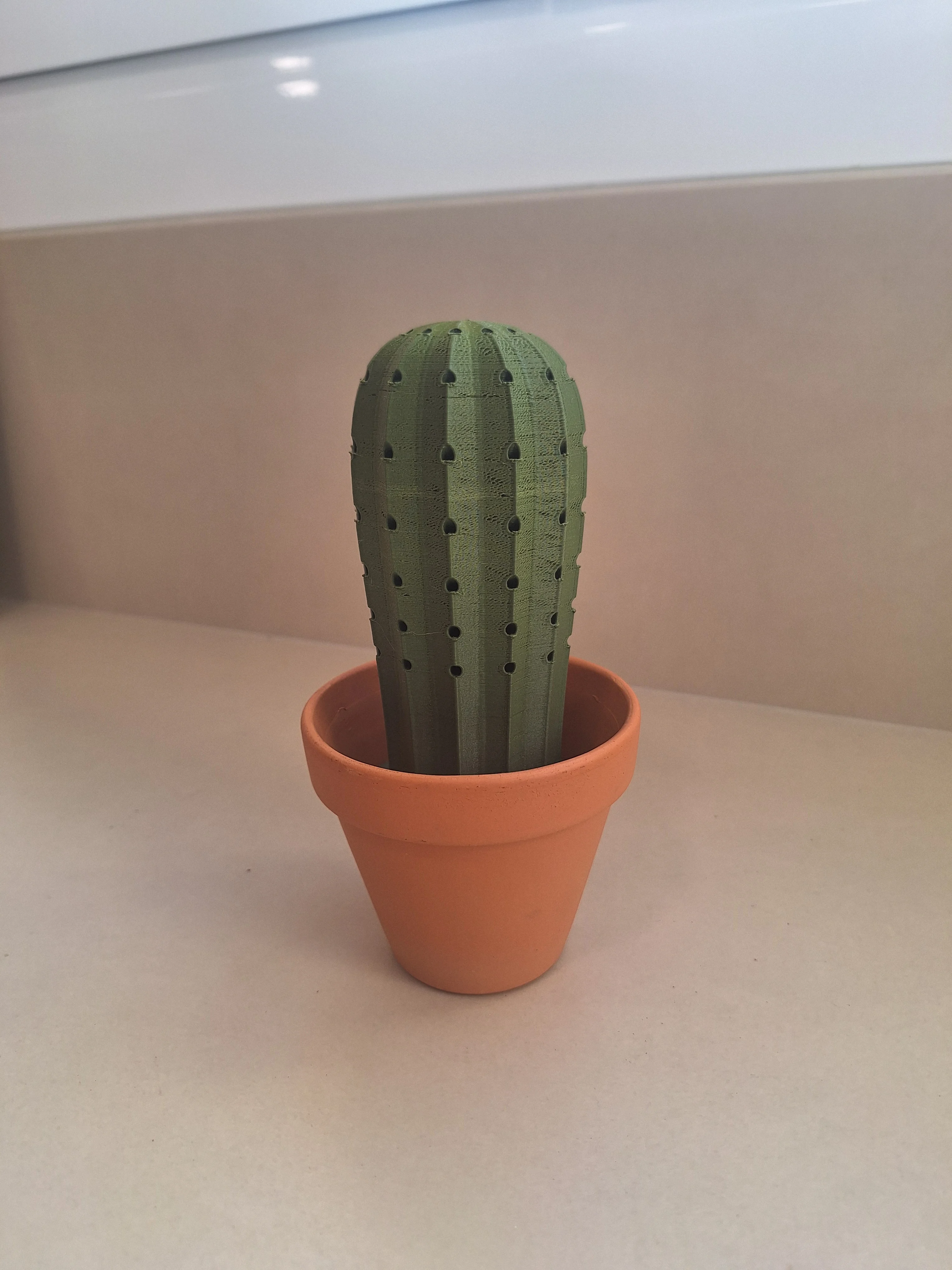 Cactus Toothpick Holder
