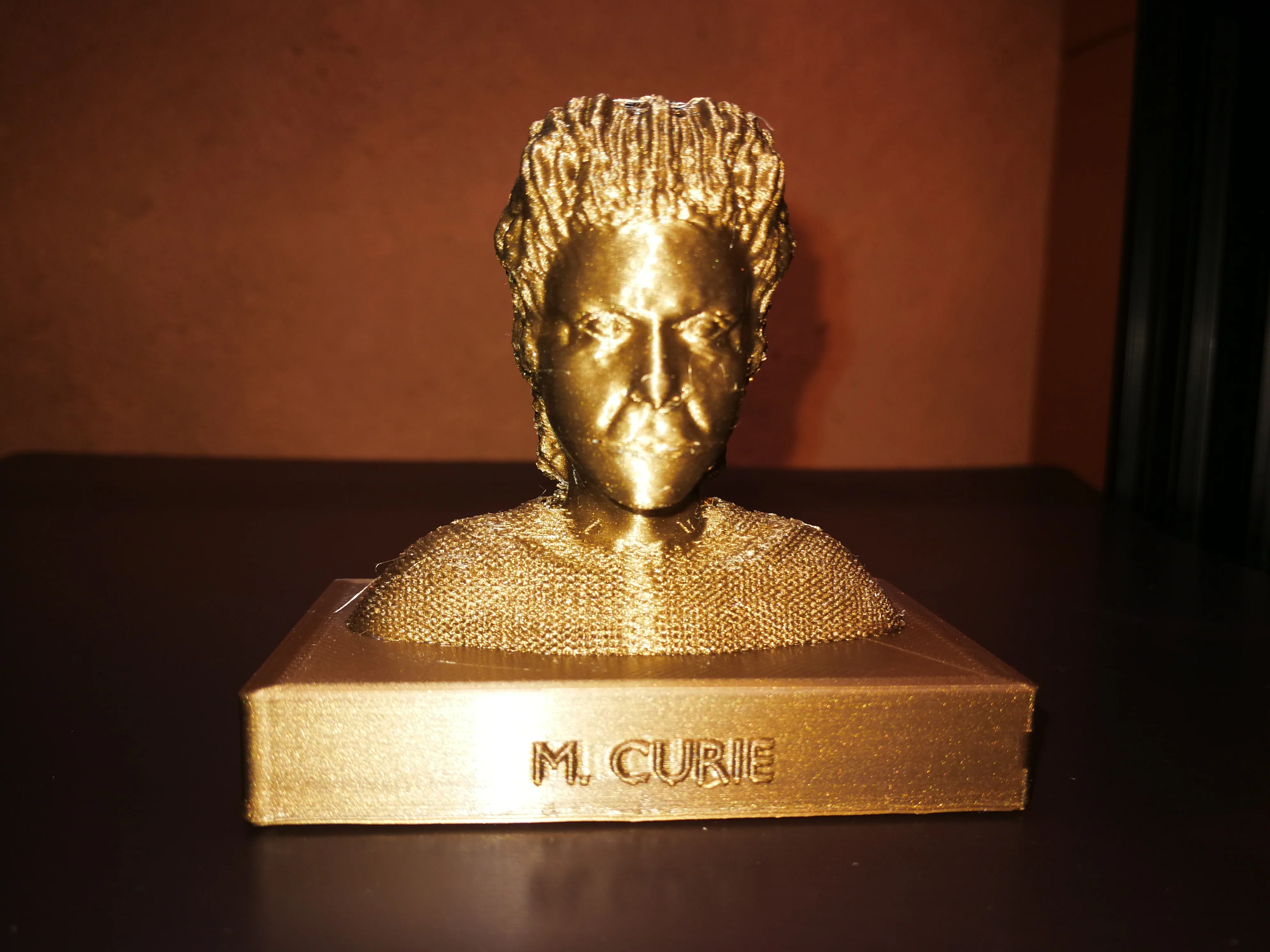 Bust of Marie Curie