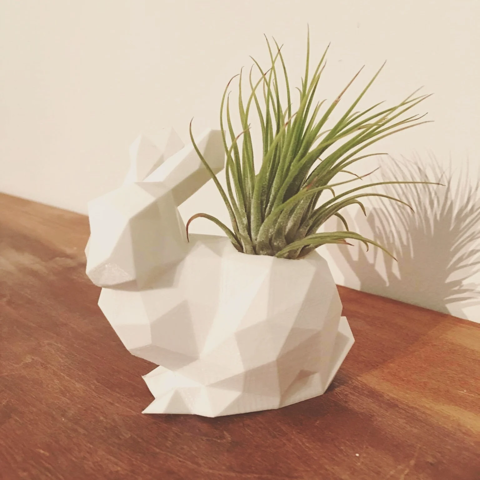 Rabbit Planter