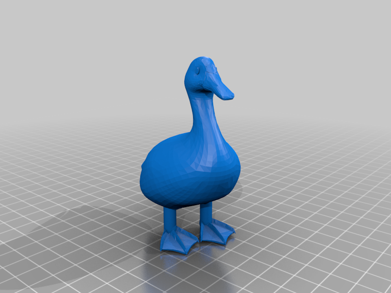 duck