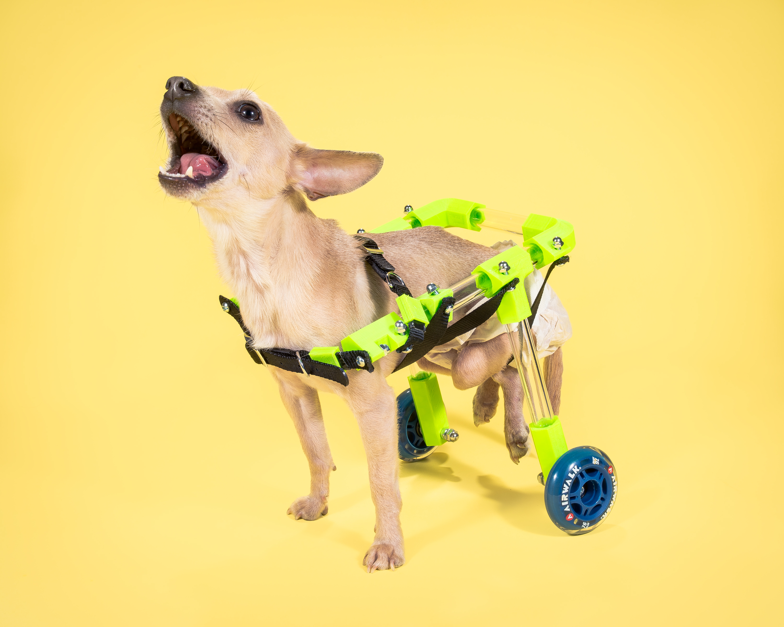 FiGO |  Rear Support Pet Wheelchair