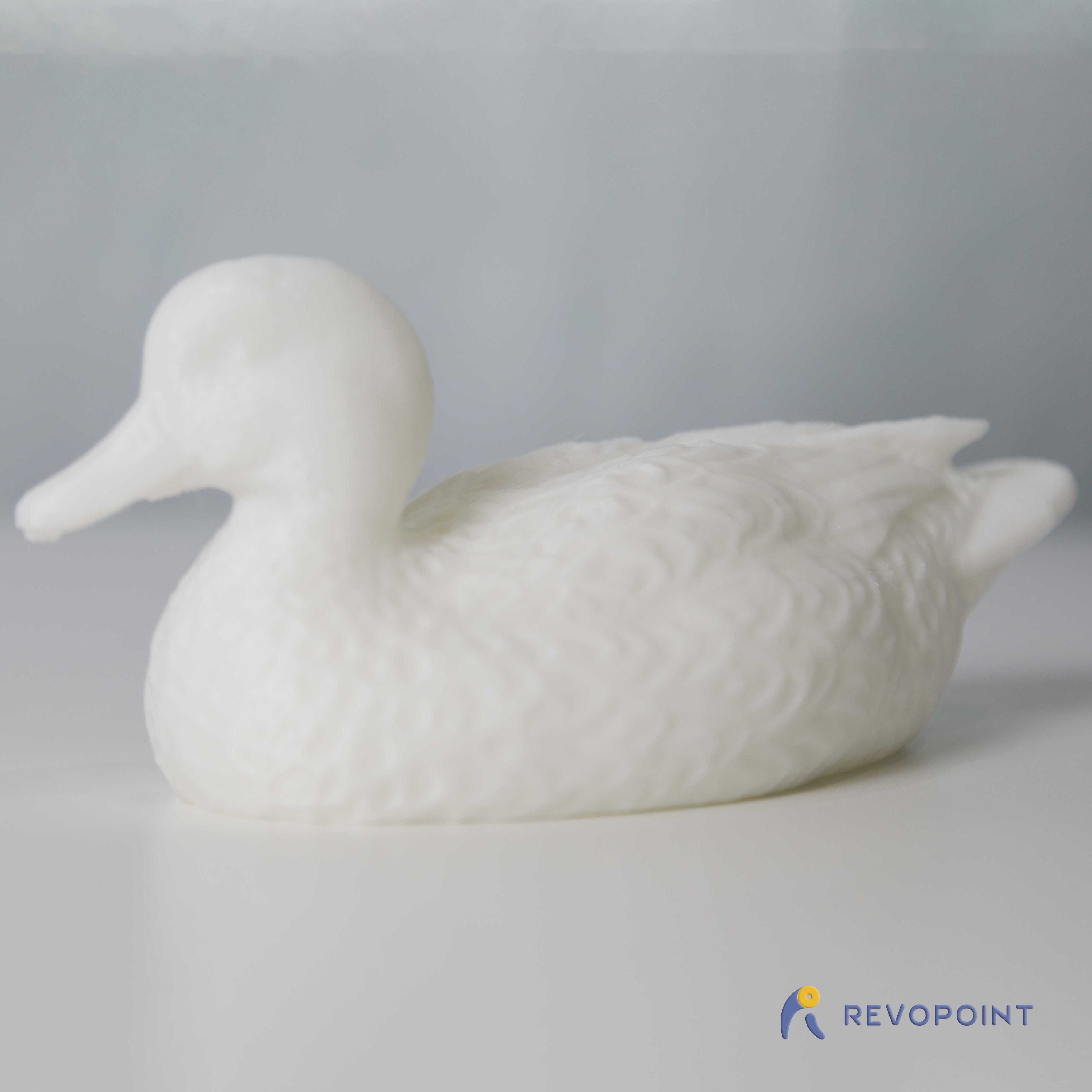 Wild Duck