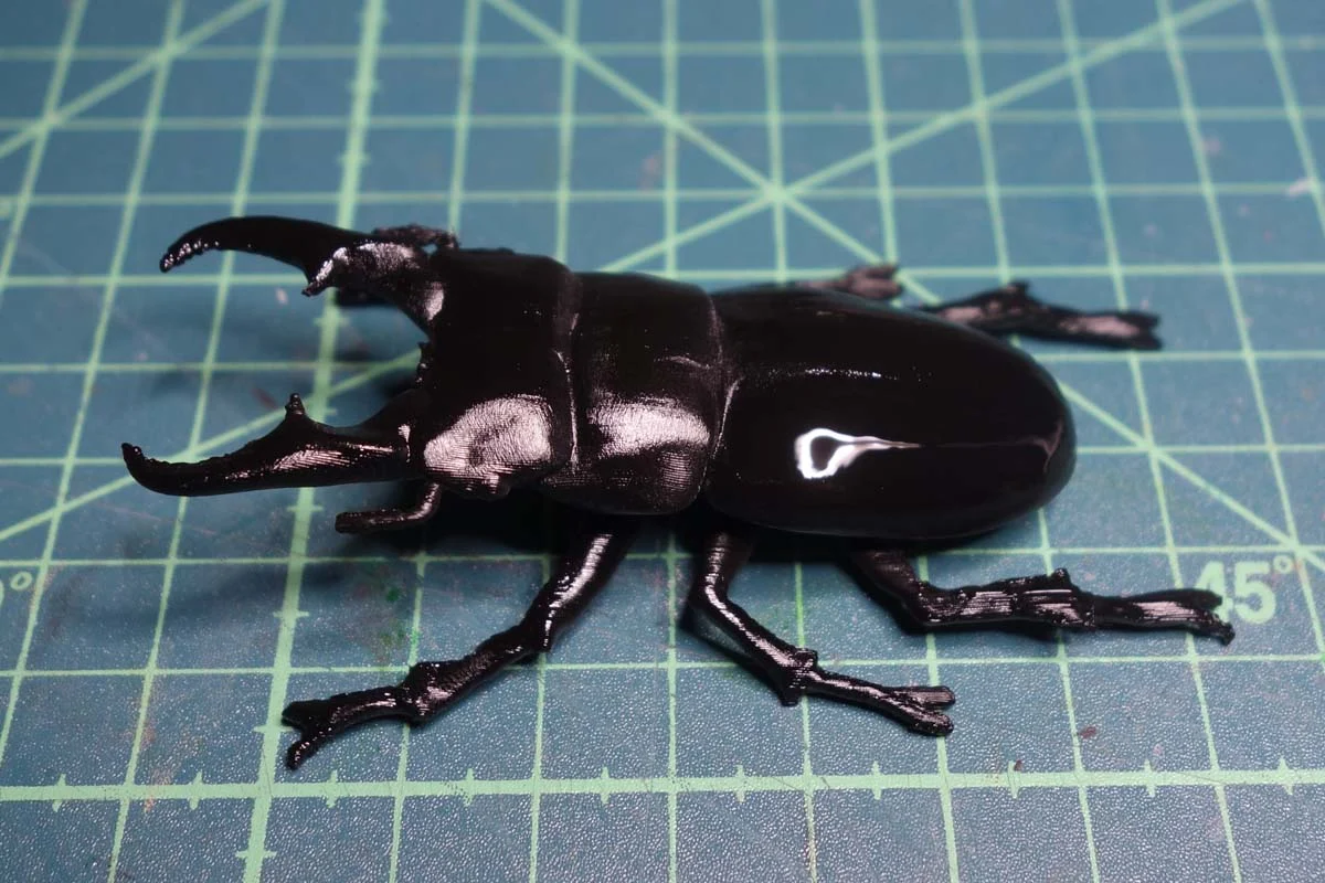 Flat hoe stag beetle (Dorcus titanus)
