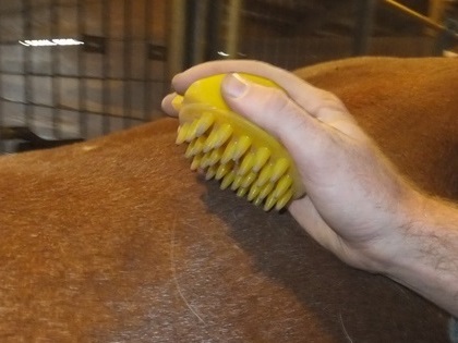 FuzNuz Horse Ergonomic Brushes