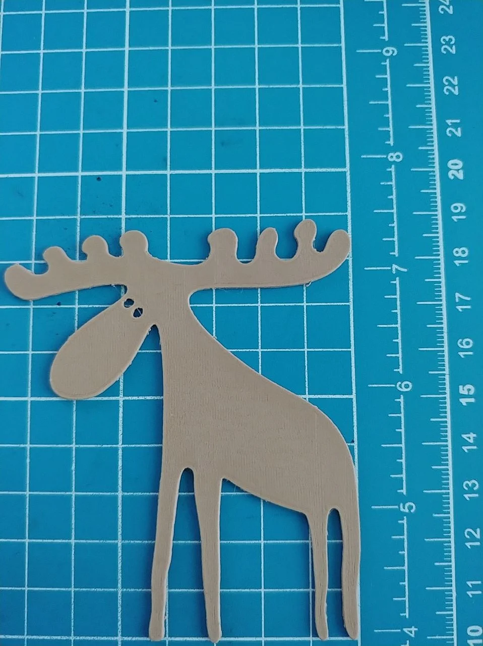 Elche / Moose