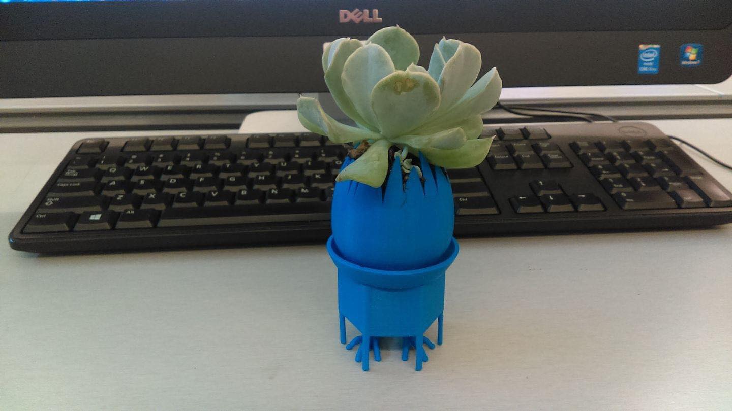 EGG PLANTER / CONTAINER
