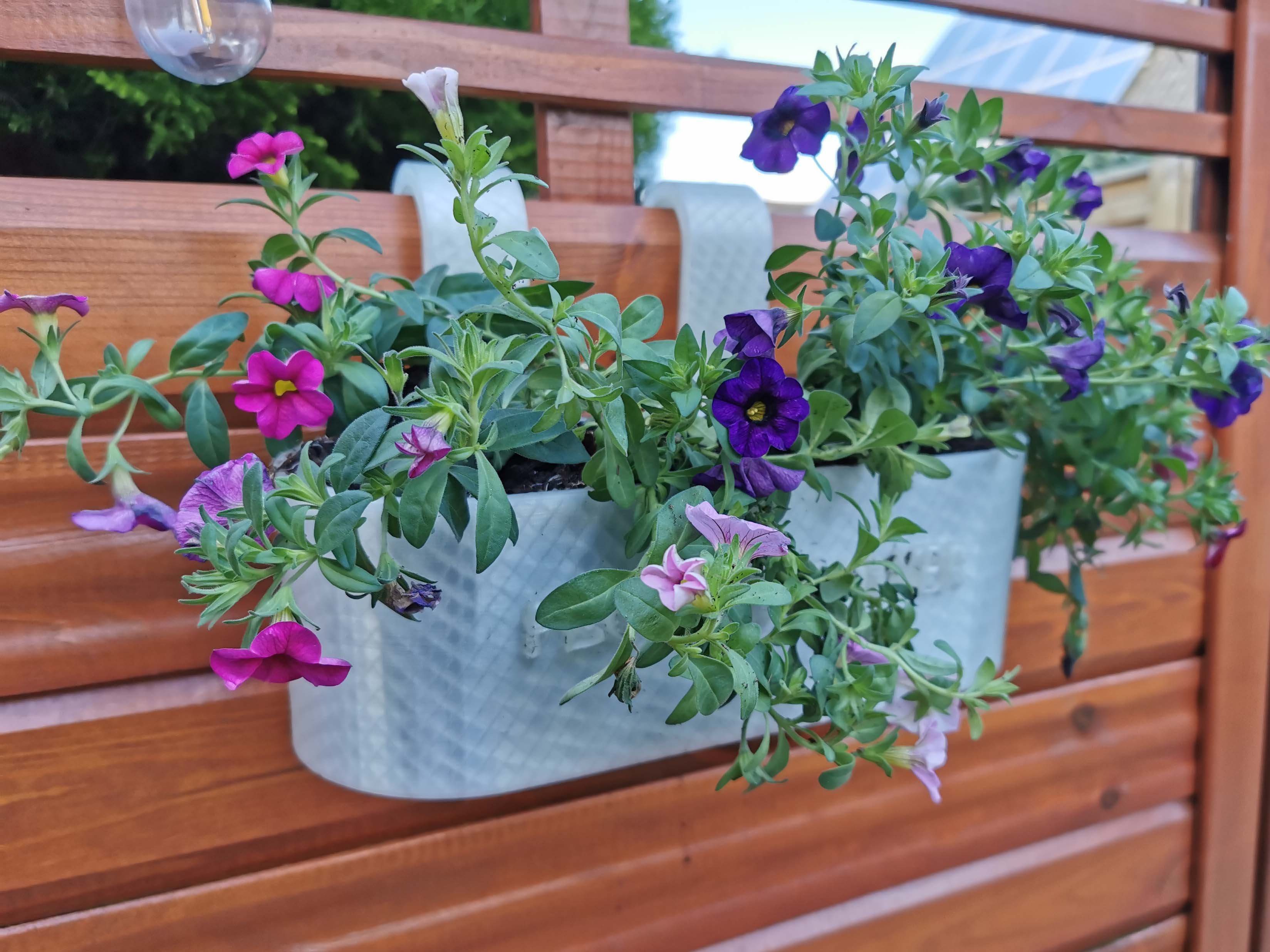 Flowerpot Blumentopf Blumenkübel Flower Pot