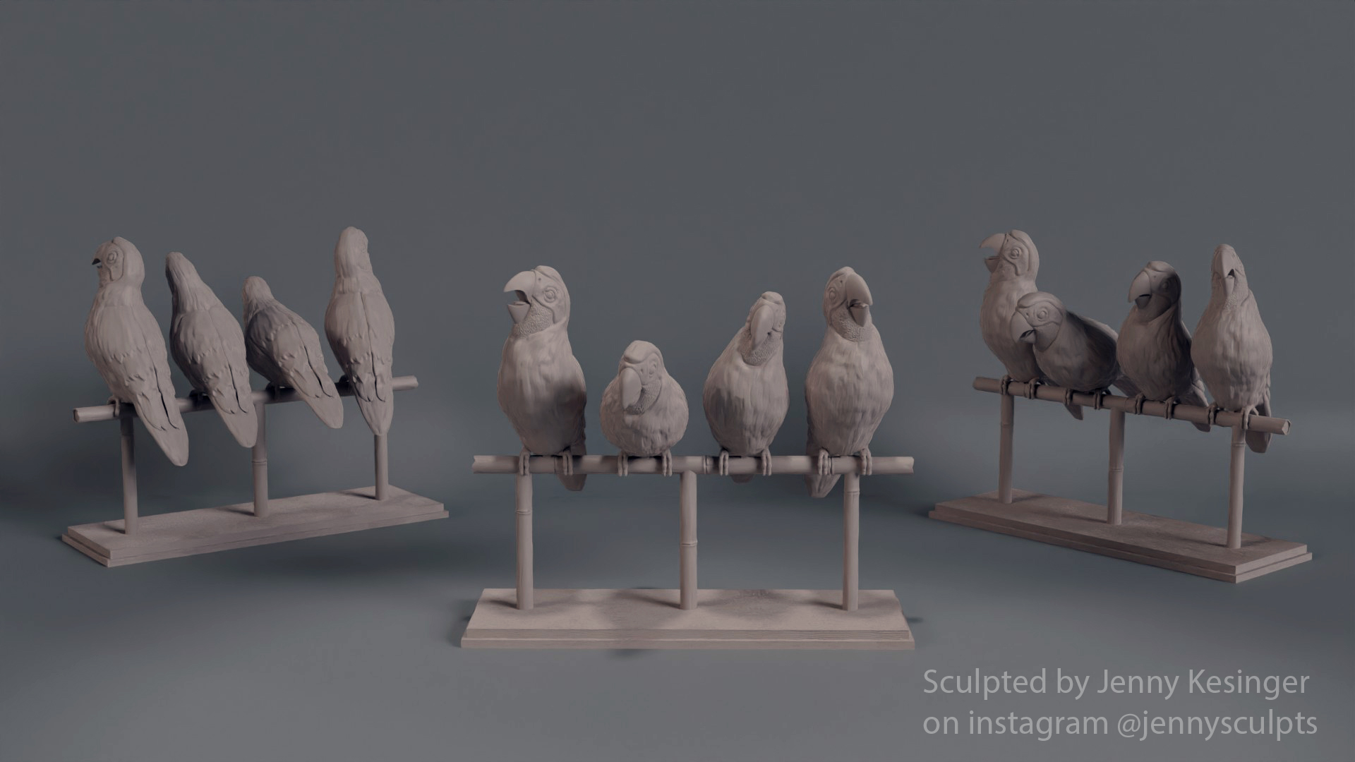Tropical Birds