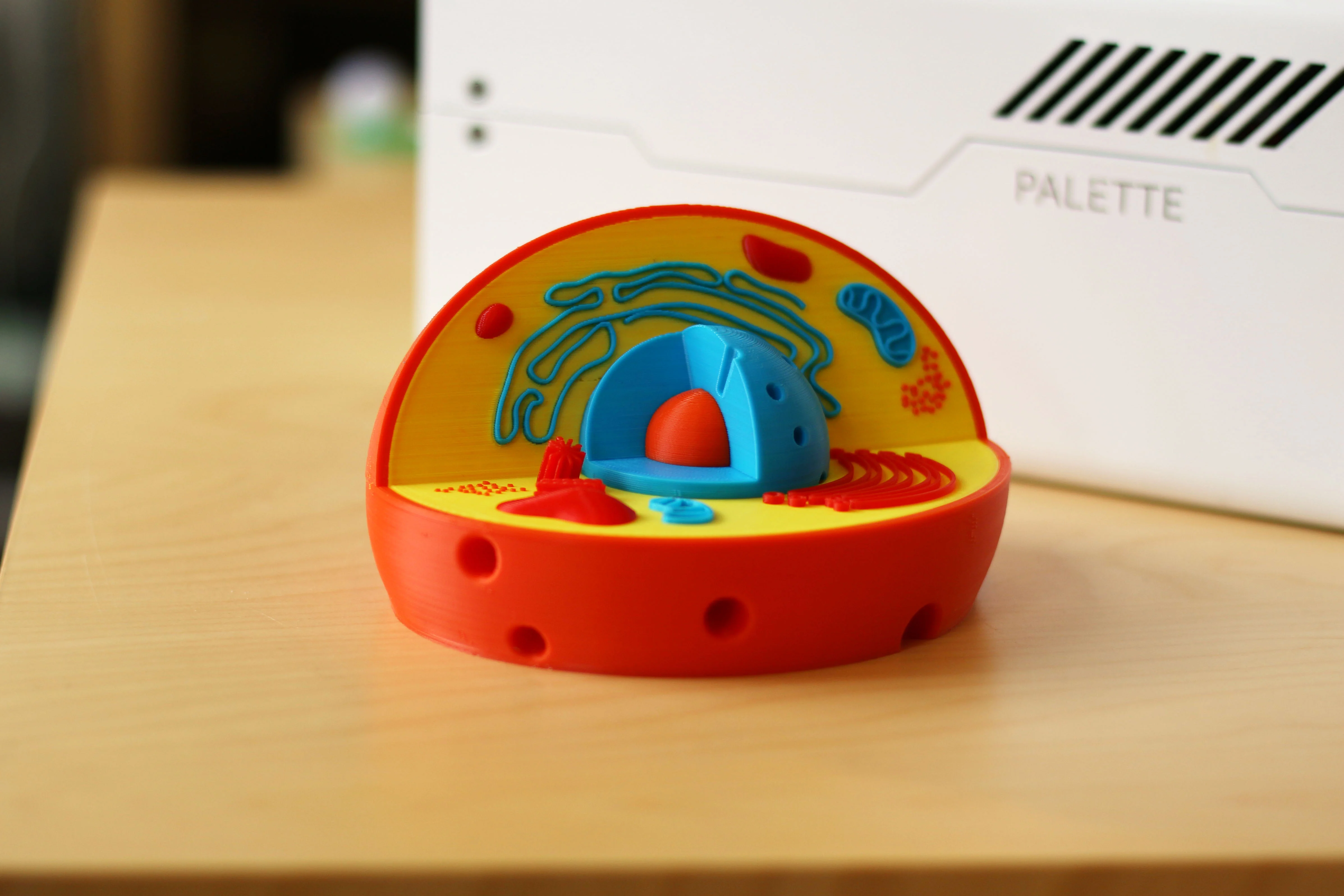 Multi-Color Cell Model