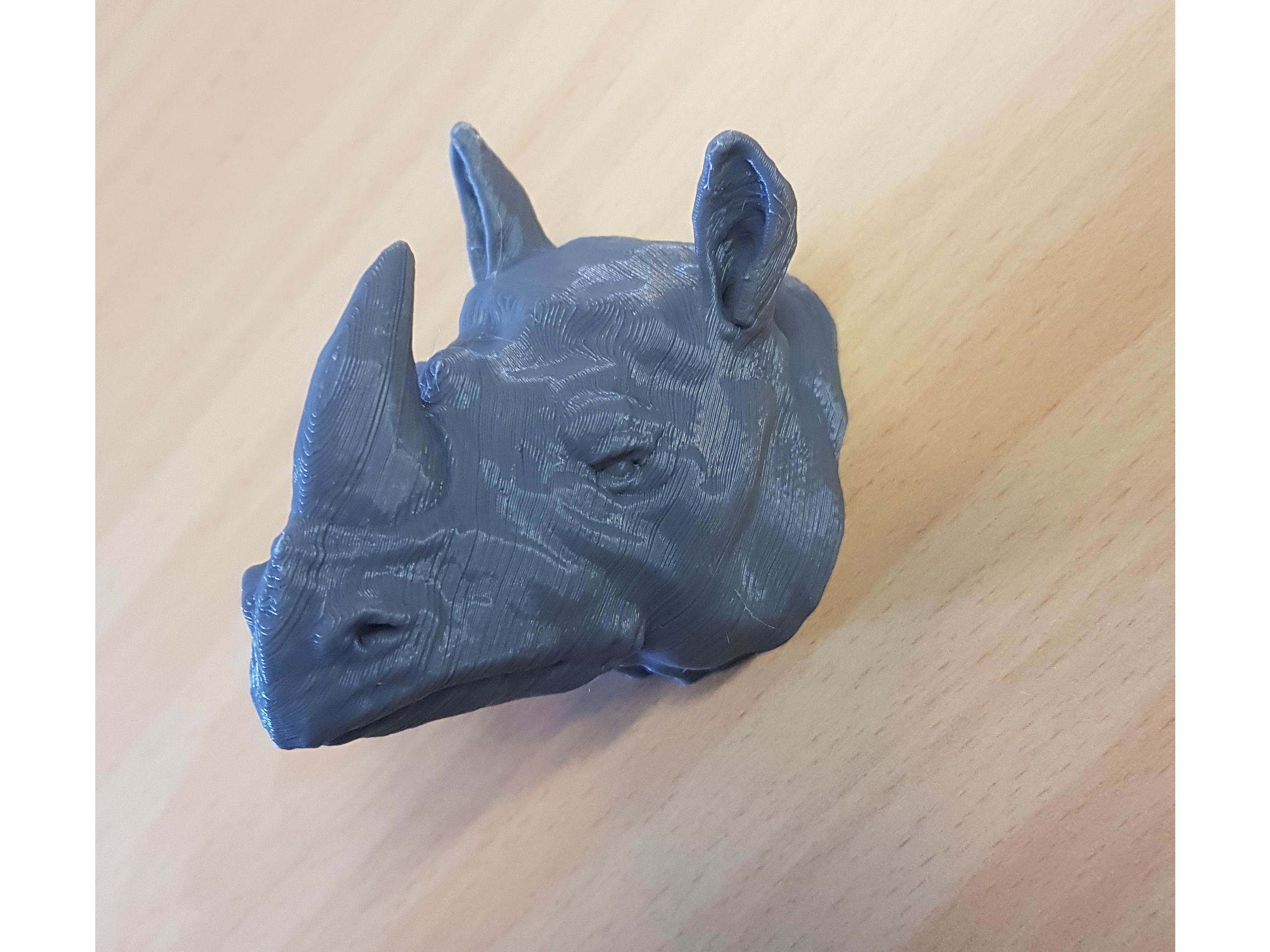 Rhino coat hanger