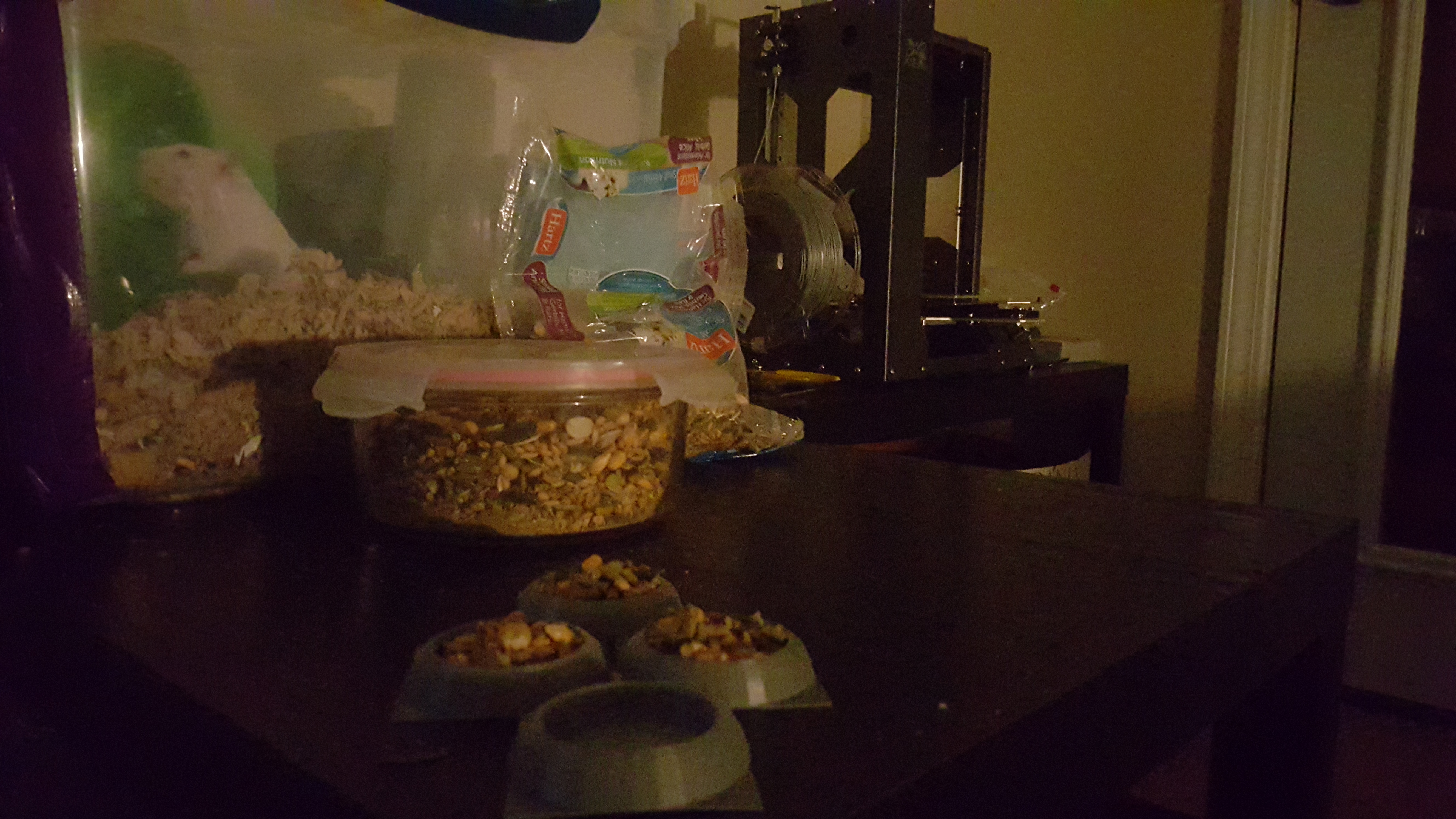 Food Dish - hamster, mouse, gerbil, small pet rodent