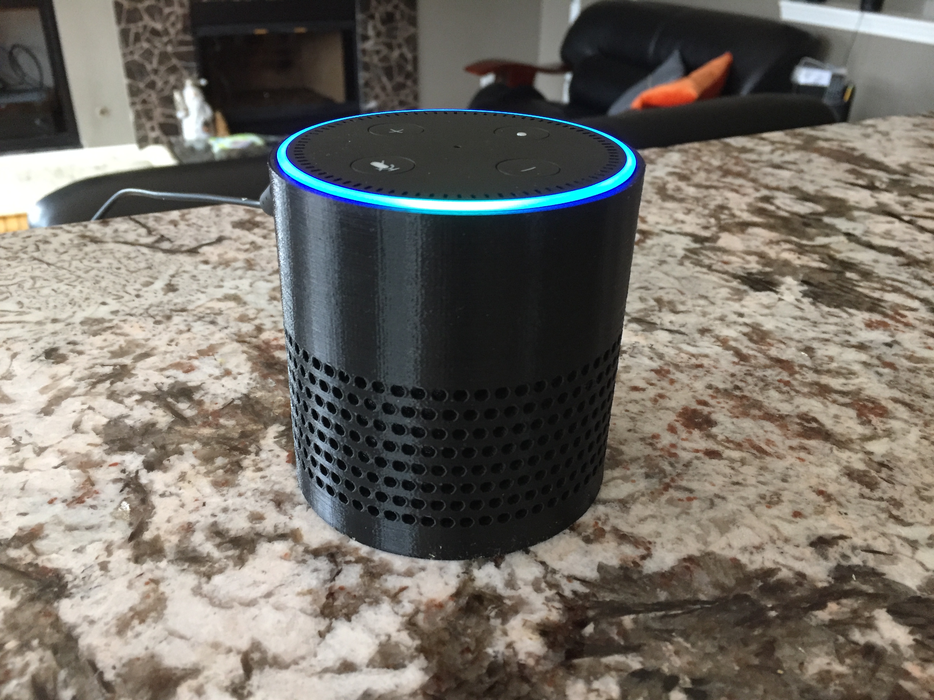 Amazon Echo Dot Acoustic Case