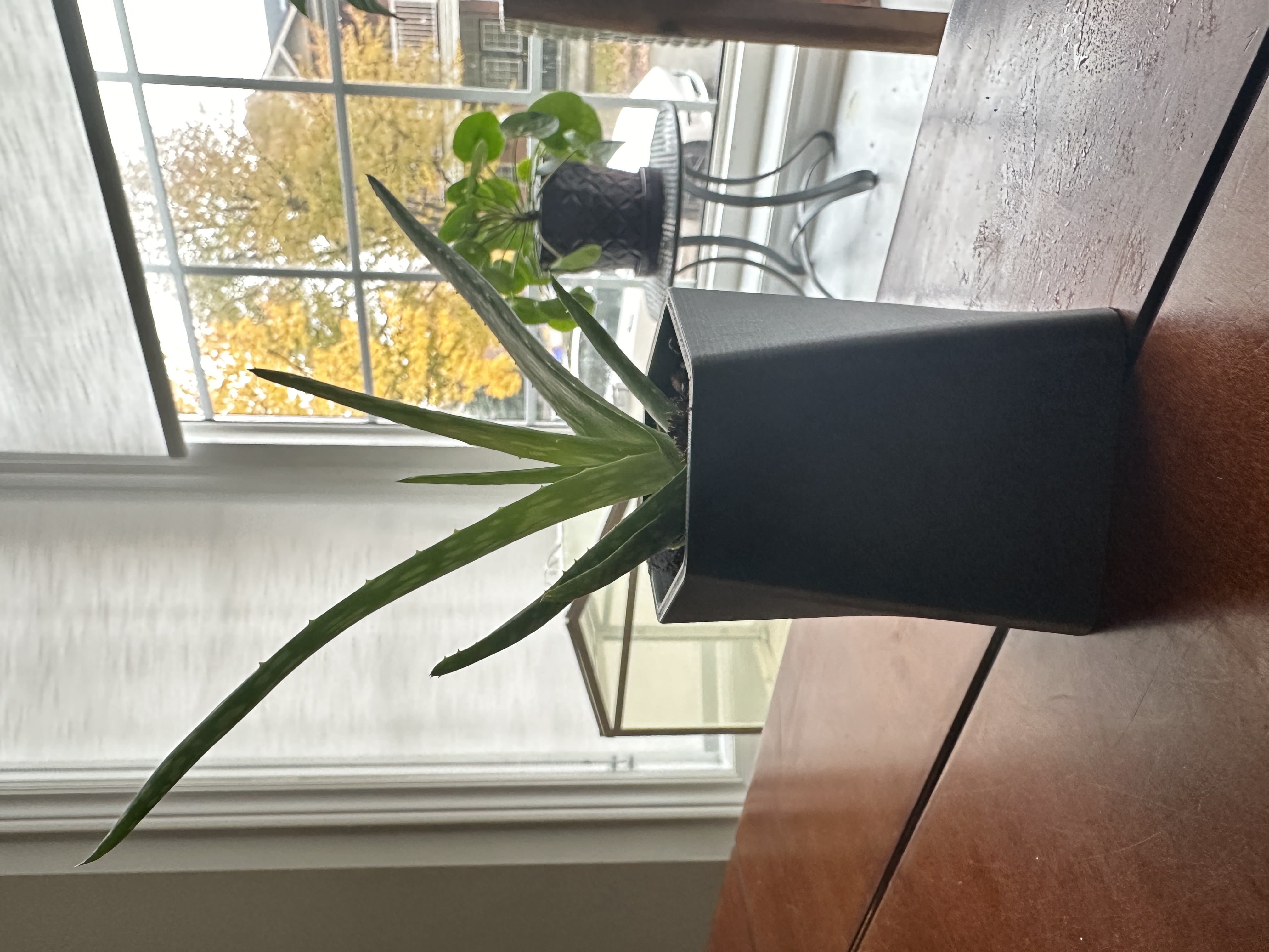 GreenScapes Succulent Planter