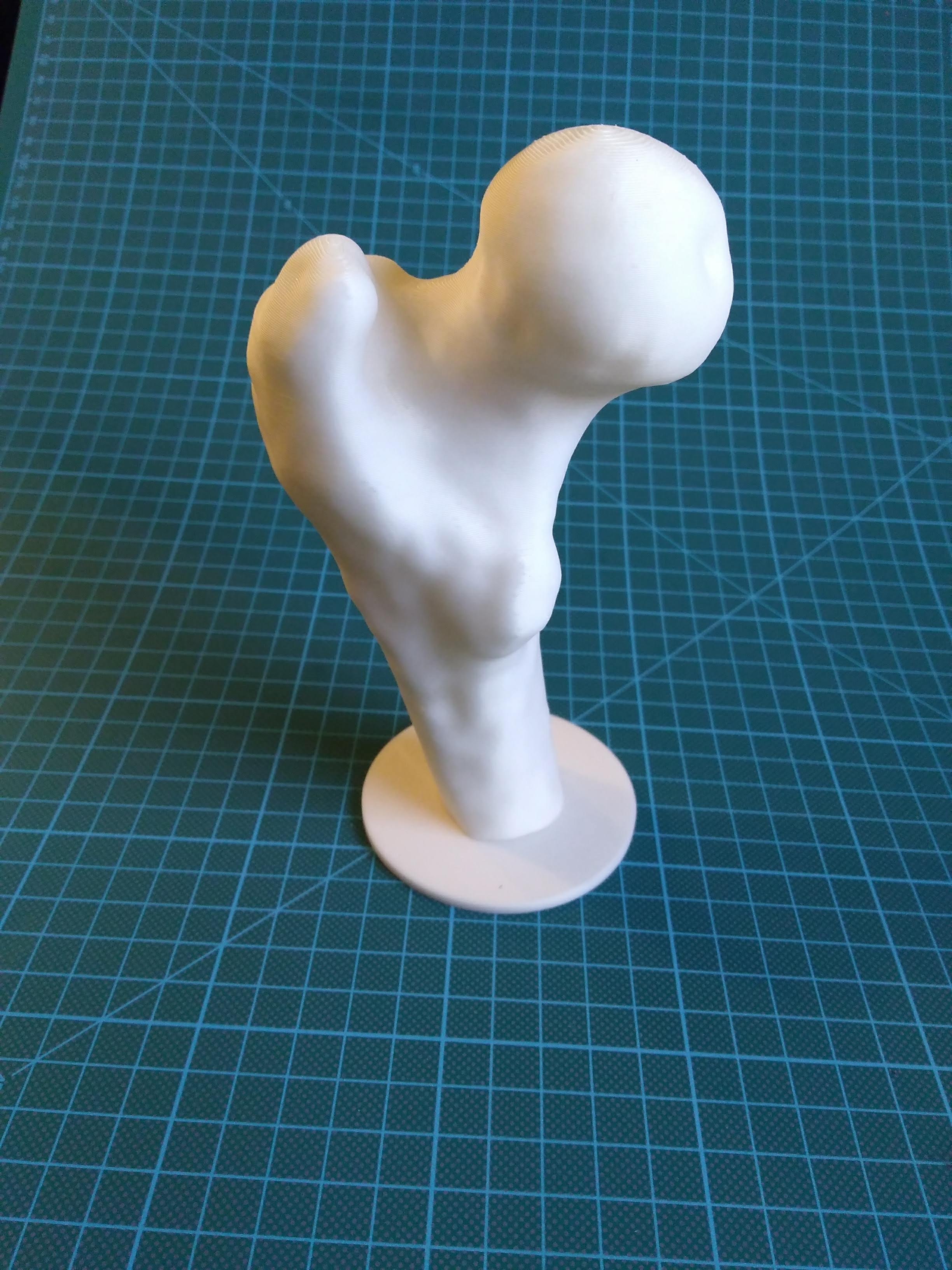 Femur Bone with Stand