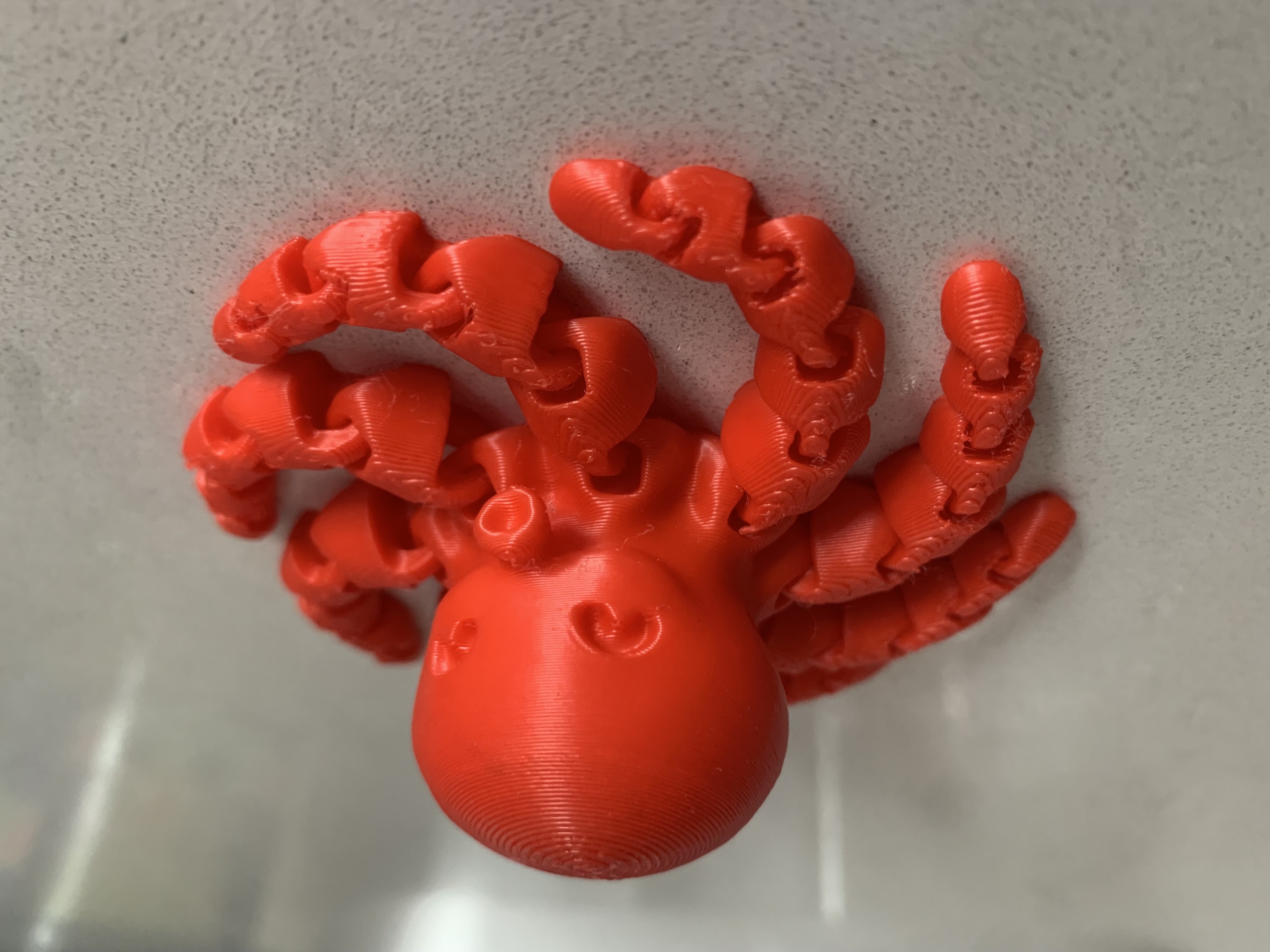 Articulated animals