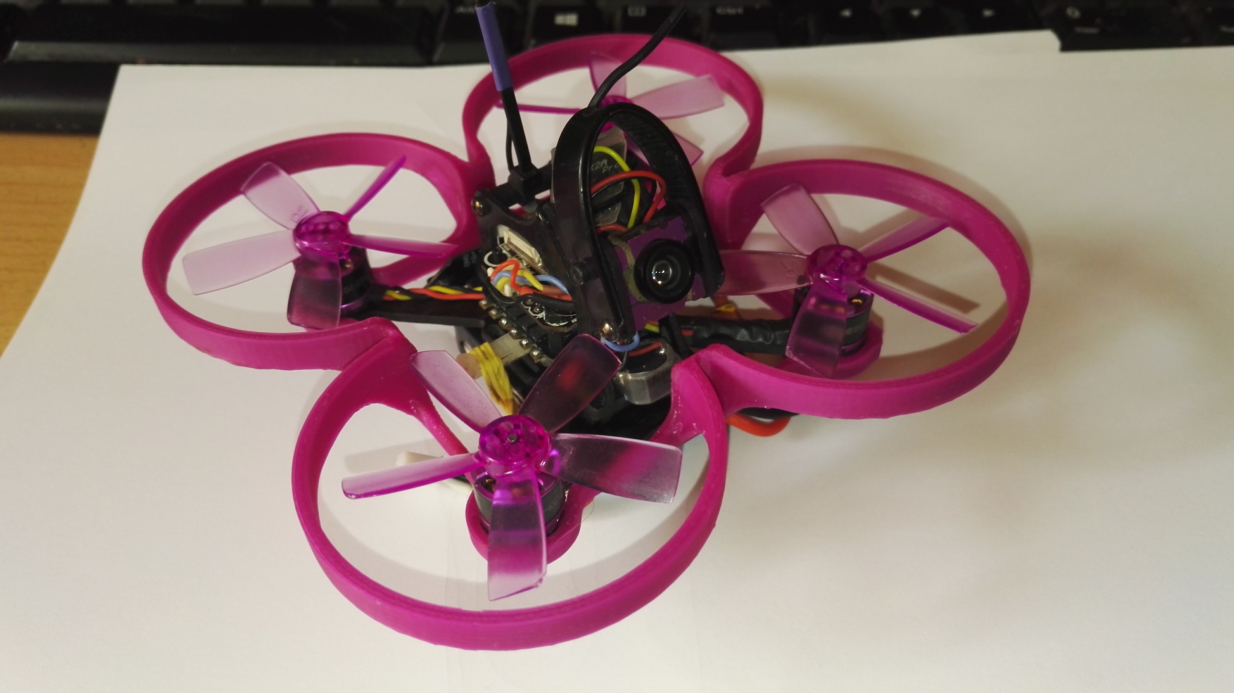 Lizard95 - Propeller guard V2