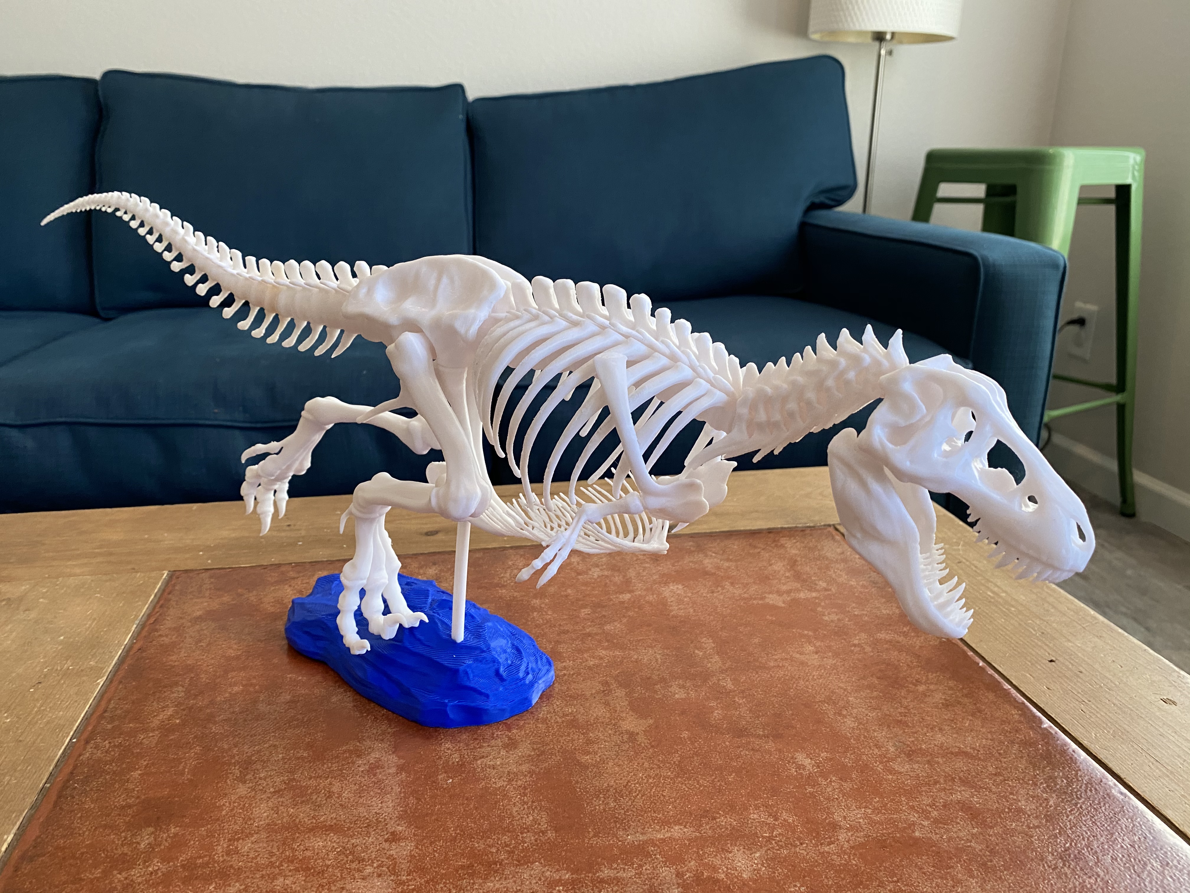 T-Rex skeleton with gastralia (belly ribs) and other anatomical fixes