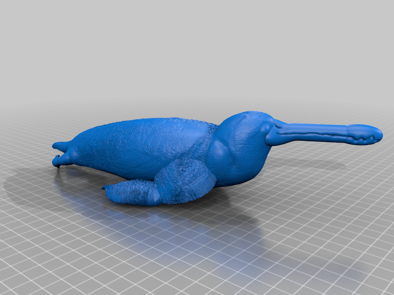 Gannetwhale