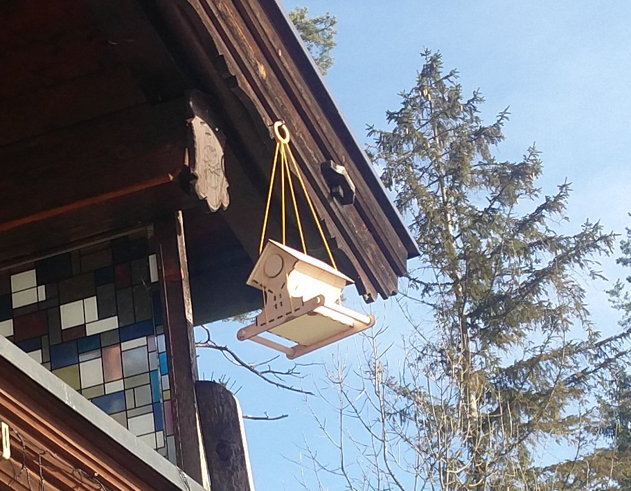 Bird Feeder