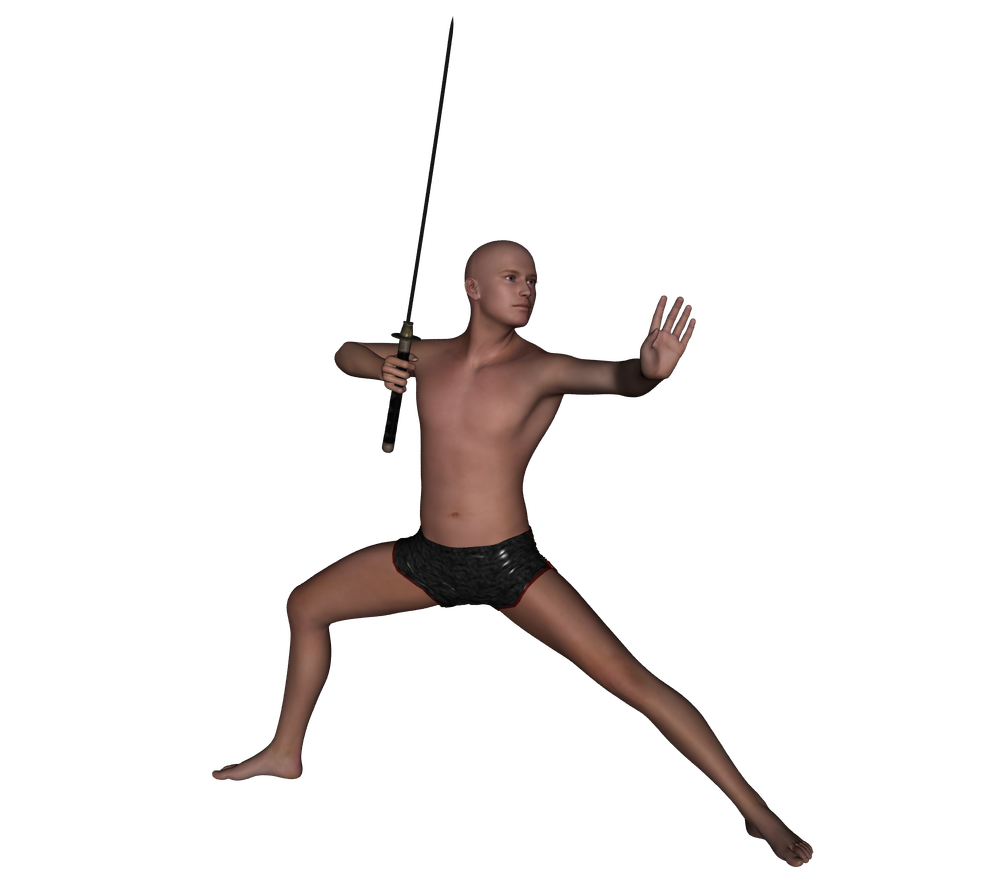 The fighter- Schwertkämpfer