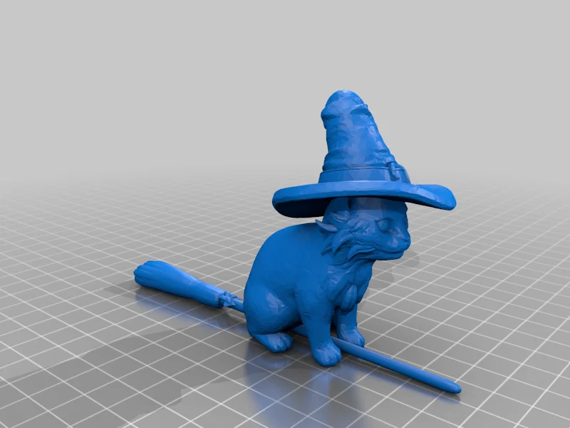 Cat Wearing a Hat On a Witches Broom