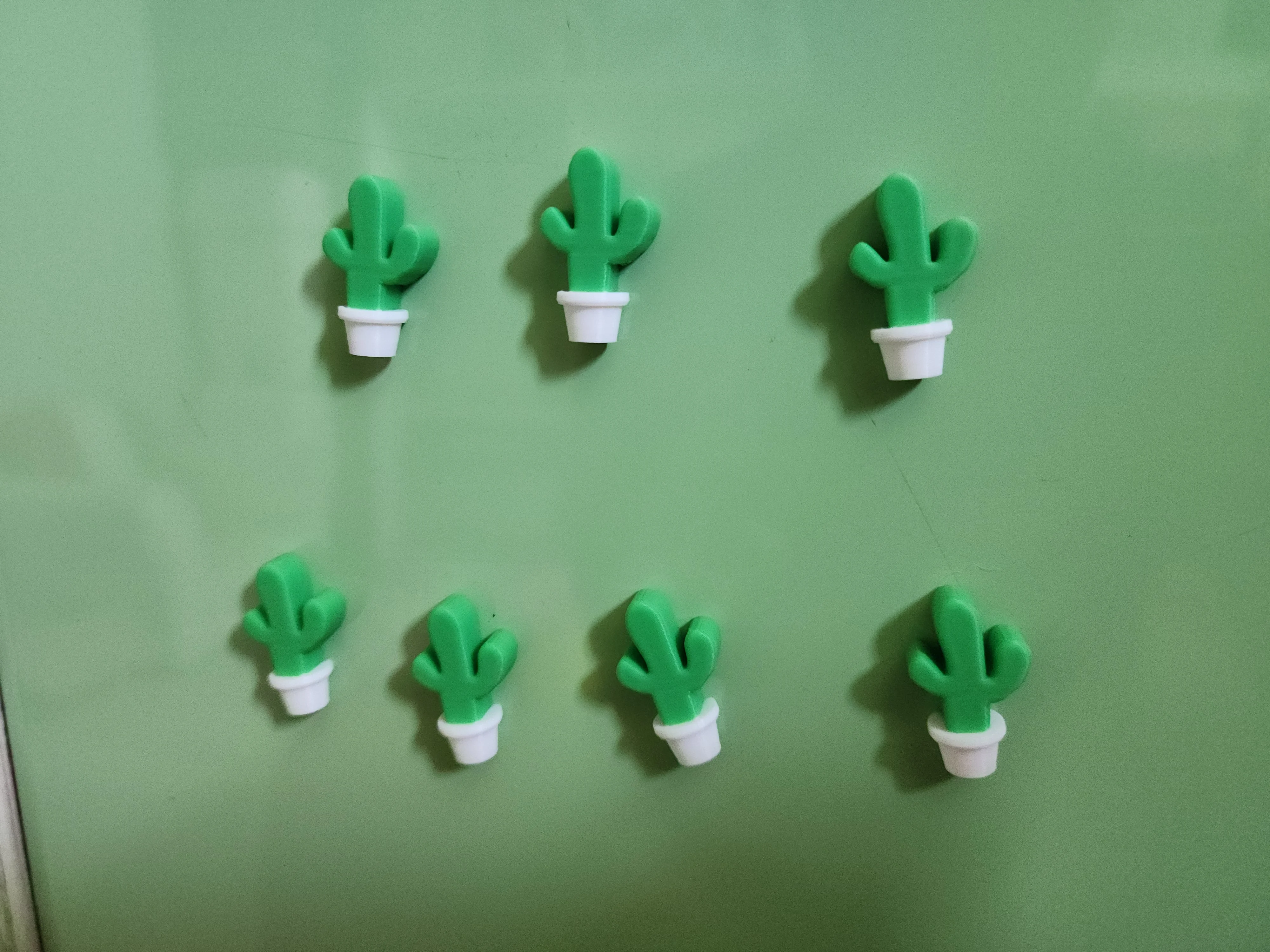 Cactus 6x3 magnet