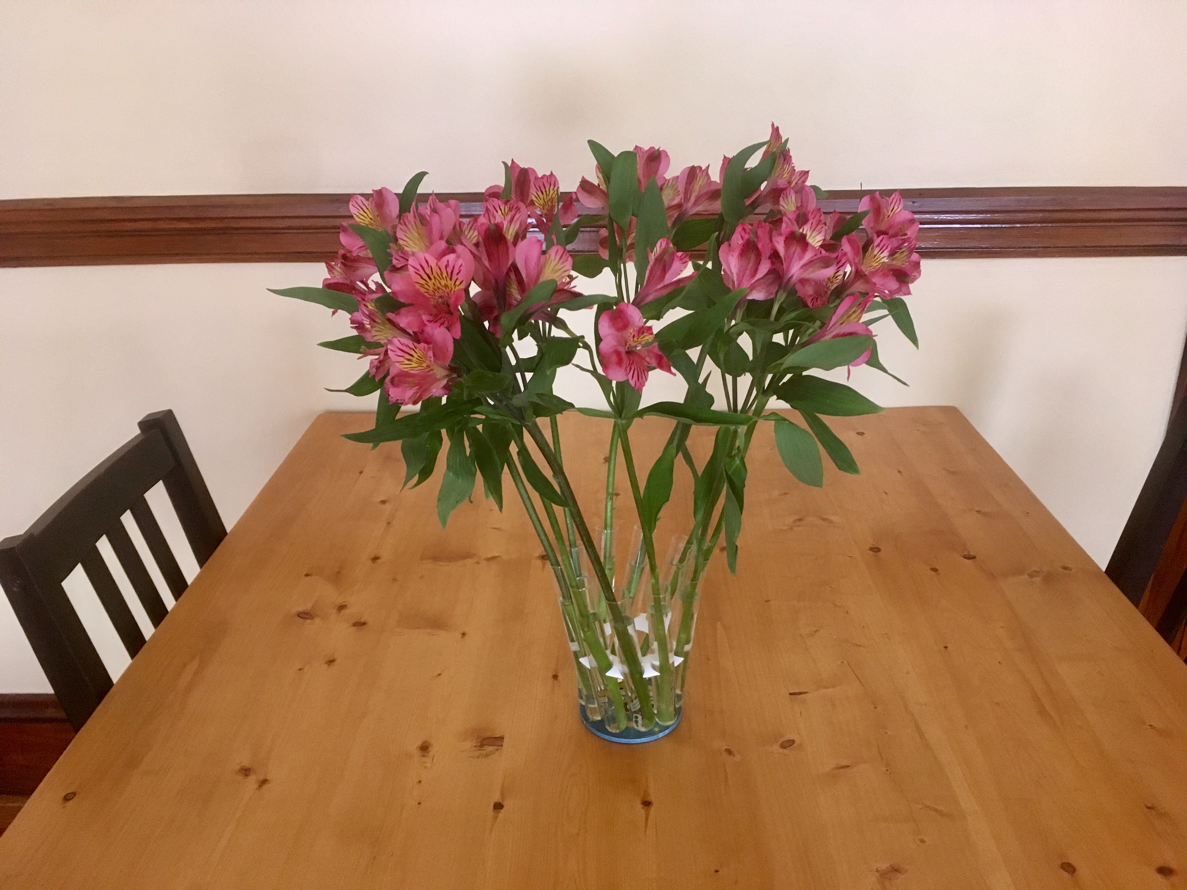 Test tube hyperboloid vase