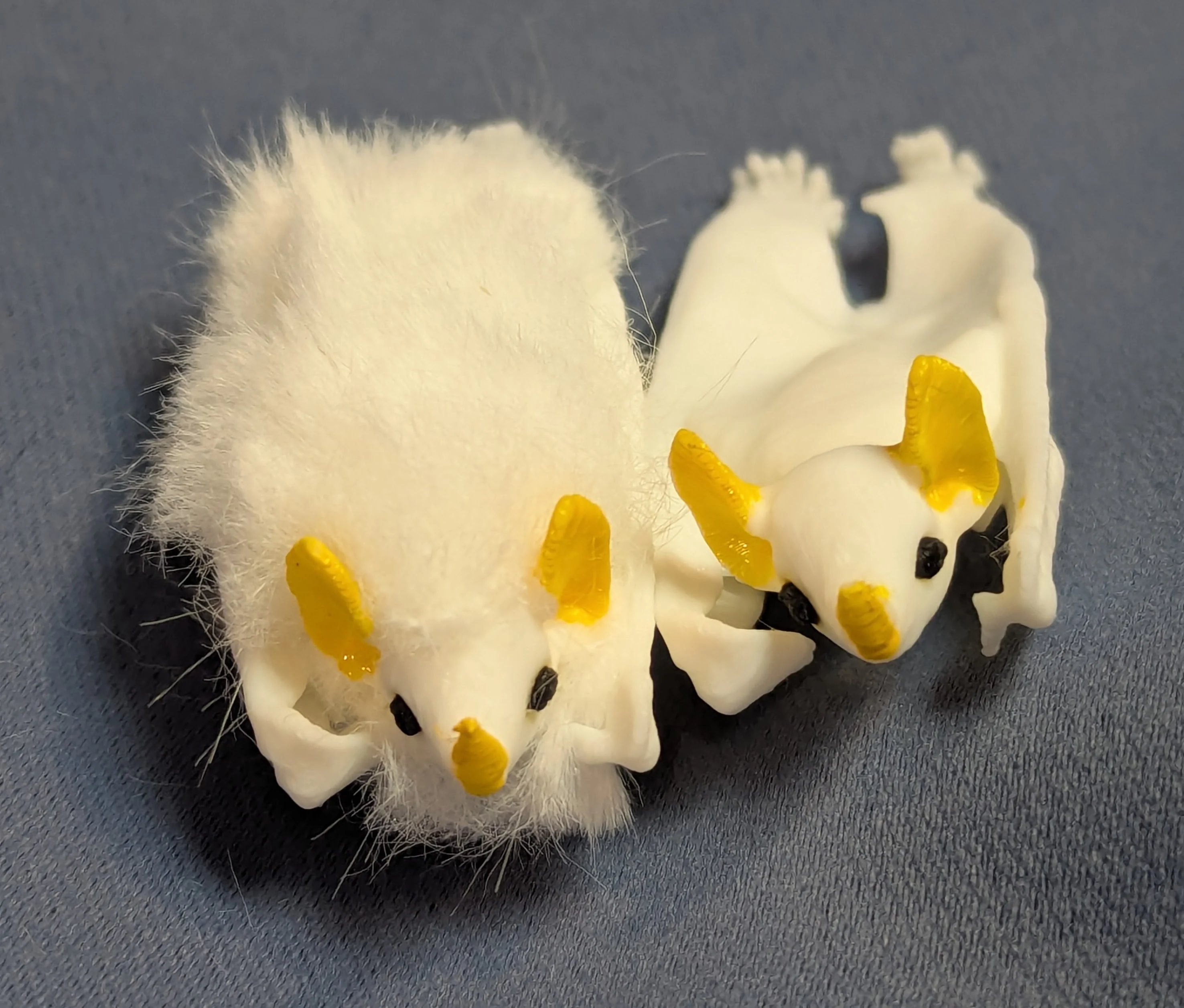 Honduran White Bat (Ectophylla alba)