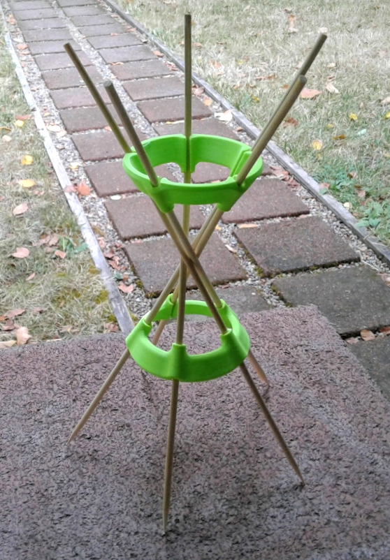 Skewer Pedestal Ring