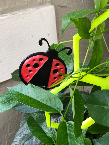 Trellis Ladybug