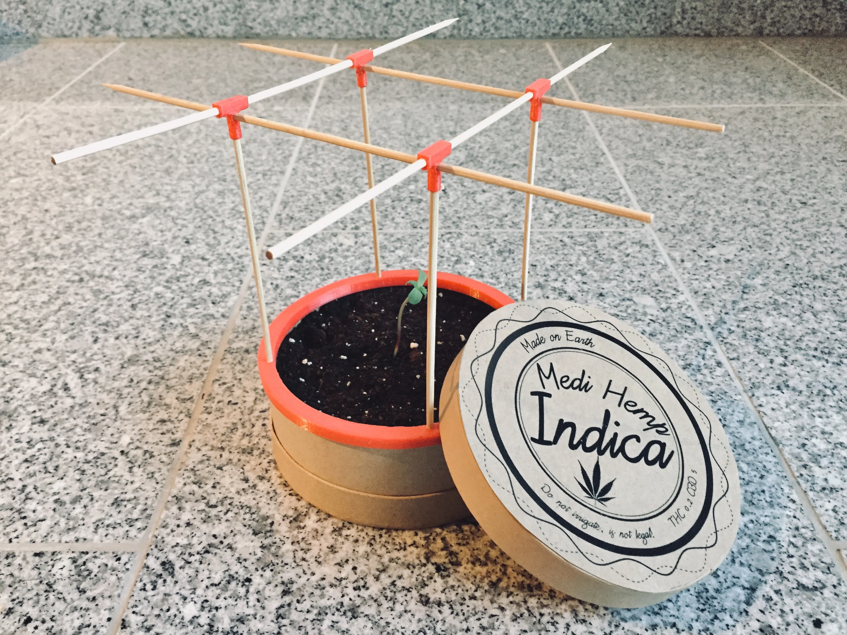 Gift Idea - Mini Garden - For Different Plants - green deko