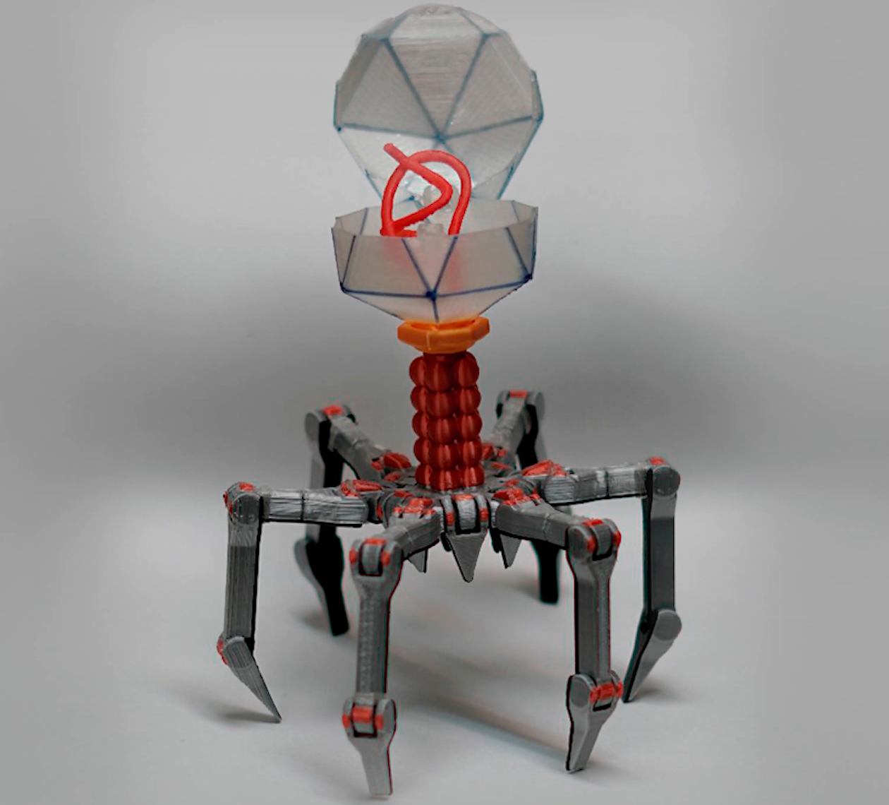 Support Free Bacteriophage T4 Print in Place